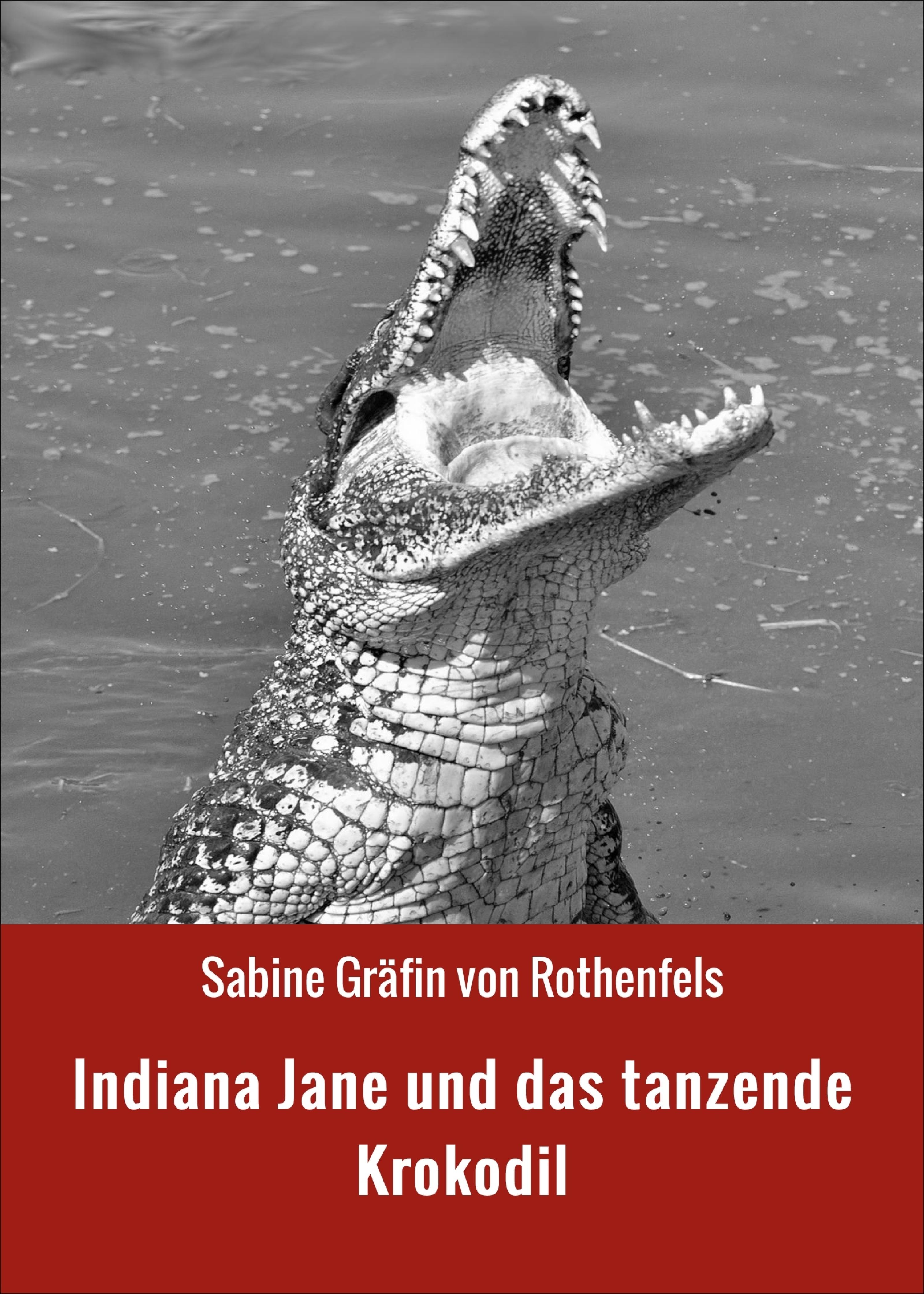 Обложка книги «Indiana Jane und das tanzende Krokodil»