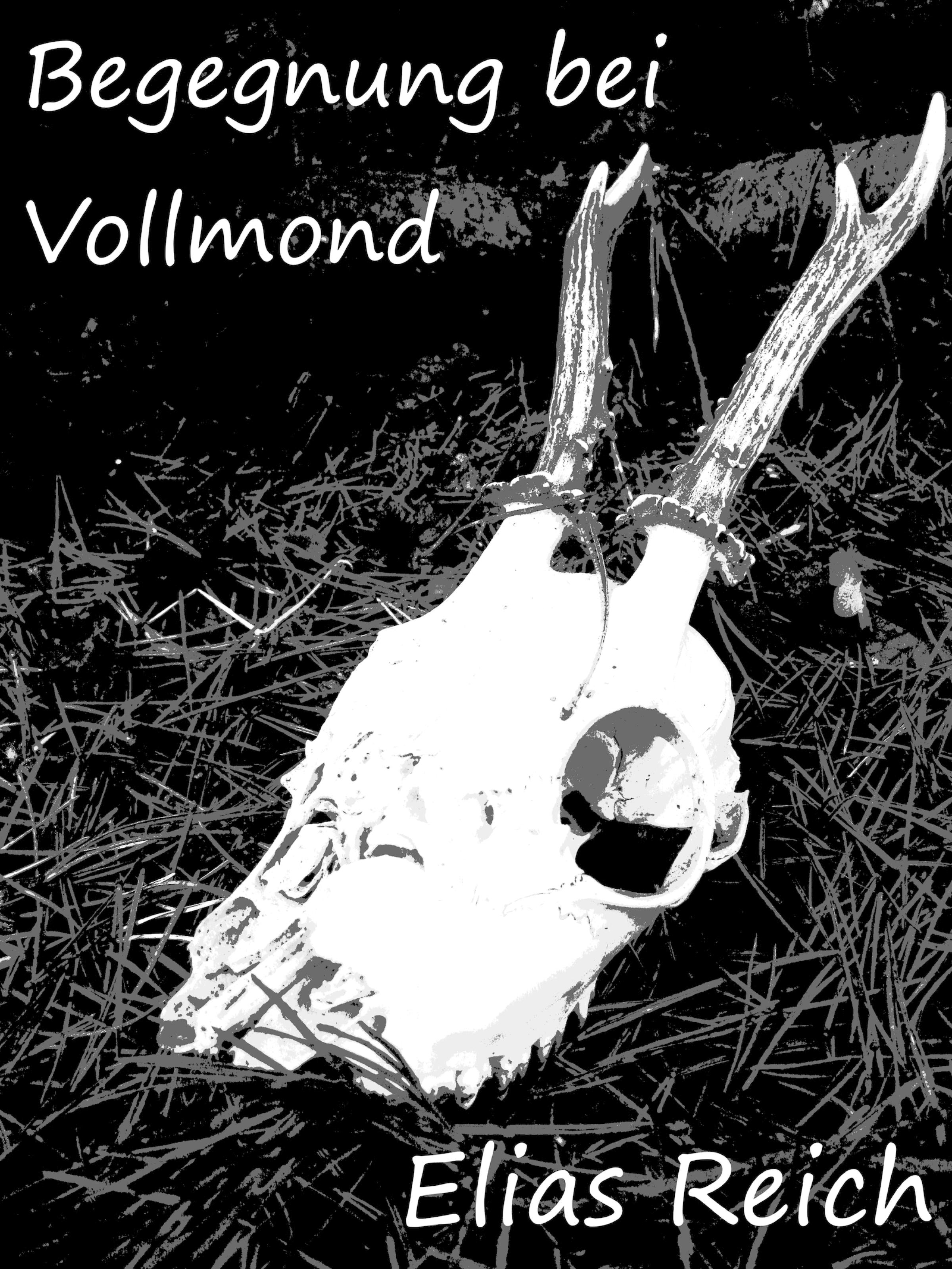 Обложка книги «Begegnung bei Vollmond»