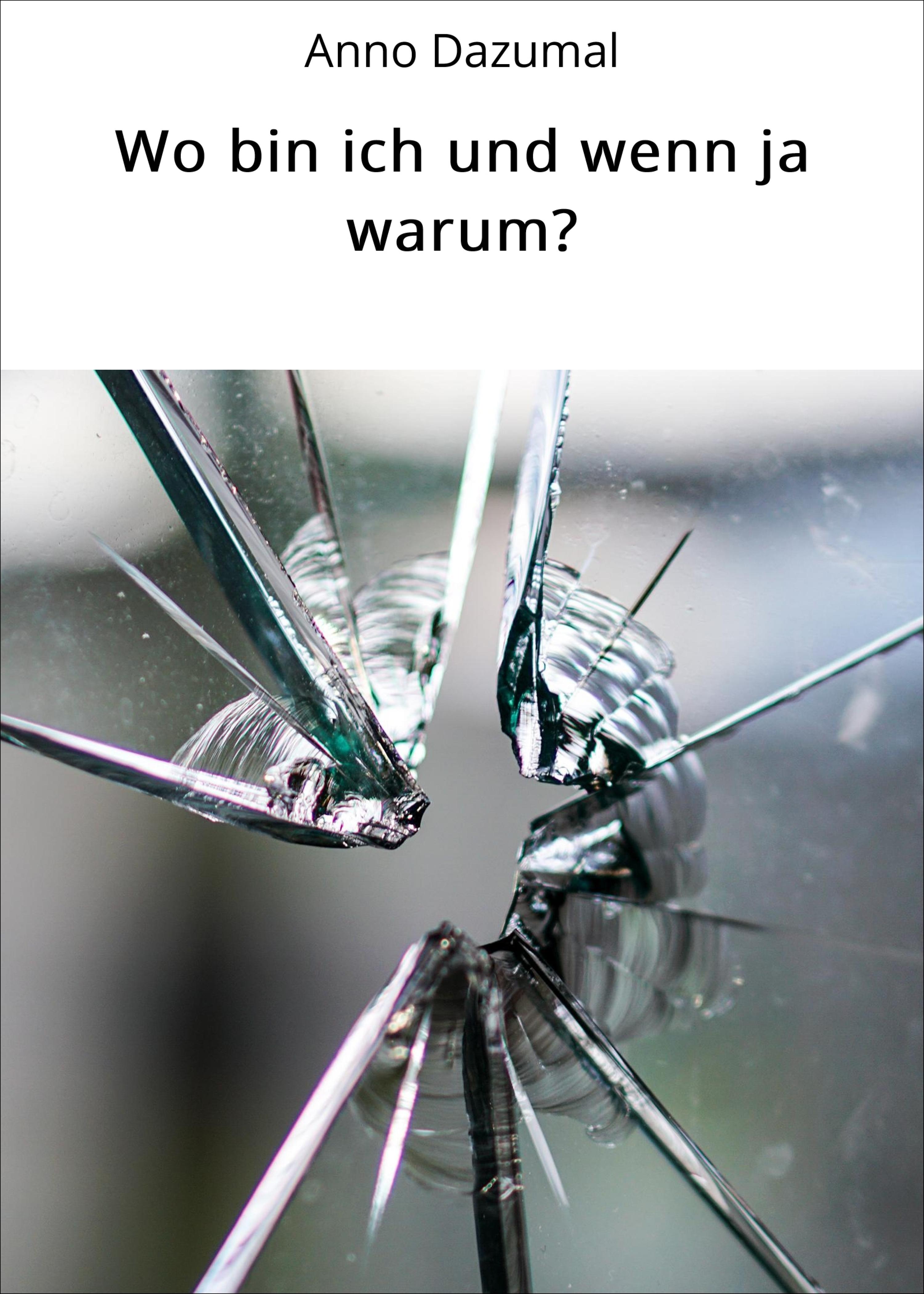 Обложка книги «Wo bin ich und wenn ja warum?»