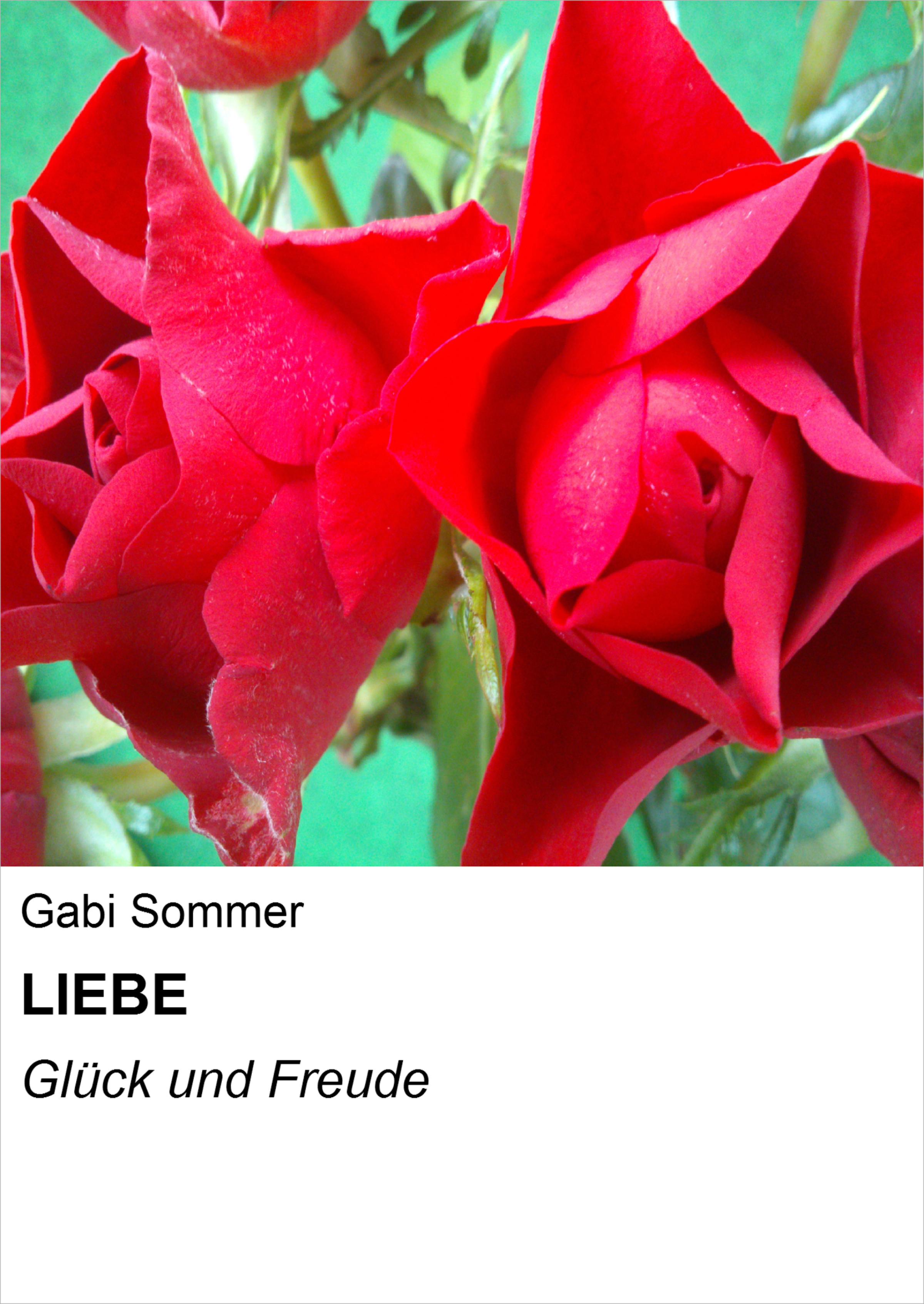 Обложка книги «LIEBE»