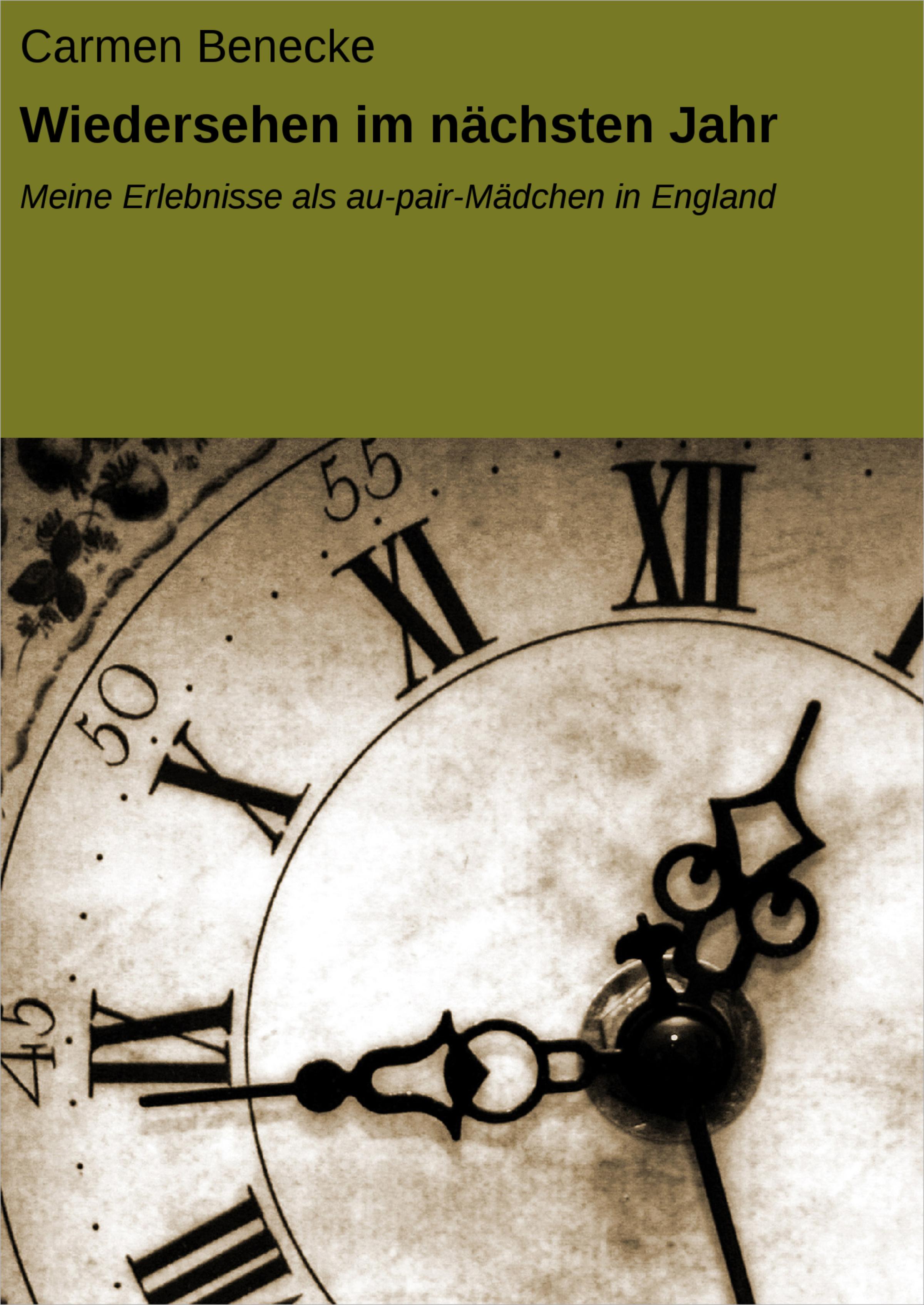 Обложка книги «Wiedersehen im nächsten Jahr»