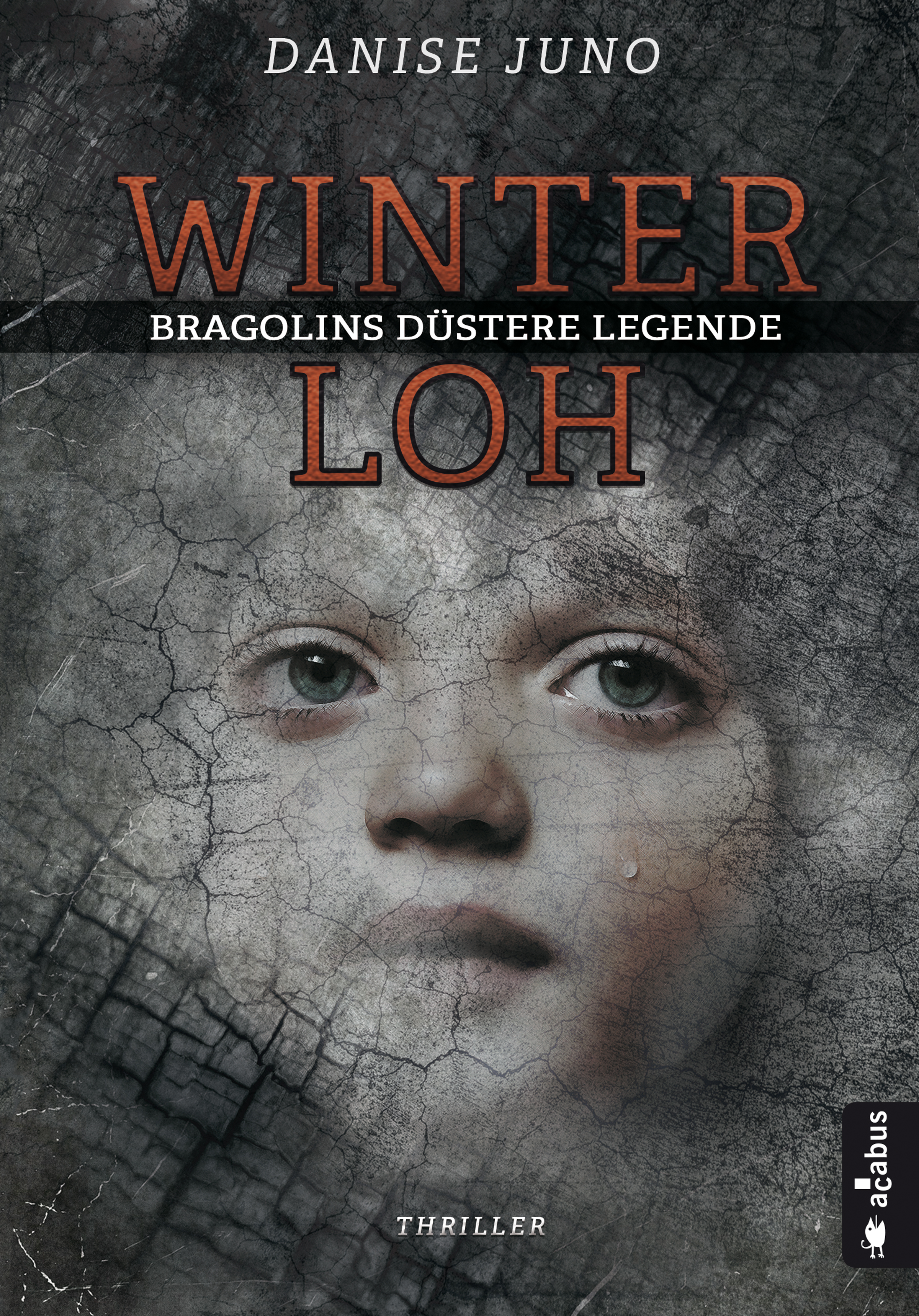 Обложка книги «Winterloh. Bragolins düstere Legende»