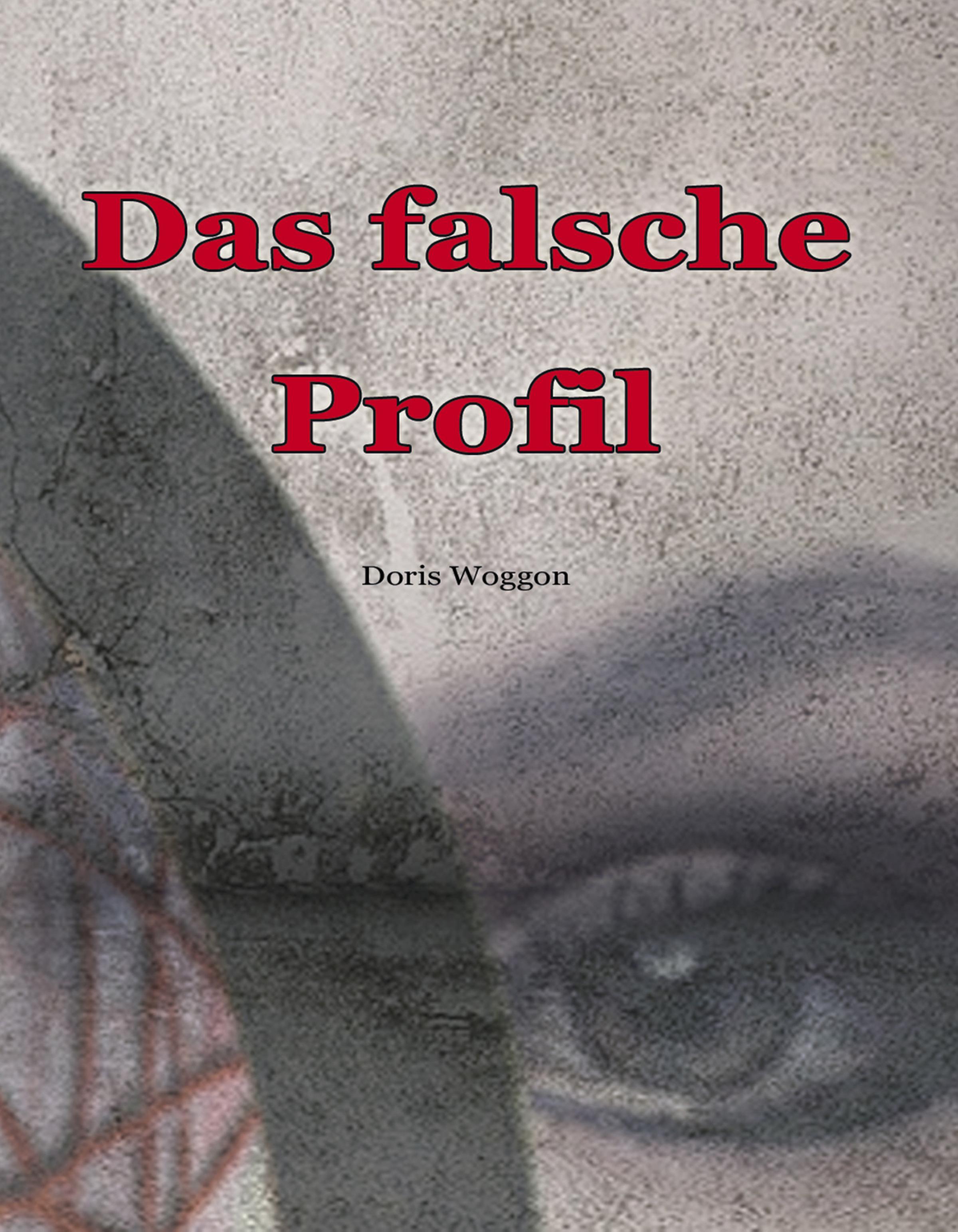 Обложка книги «Das falsche Profil»