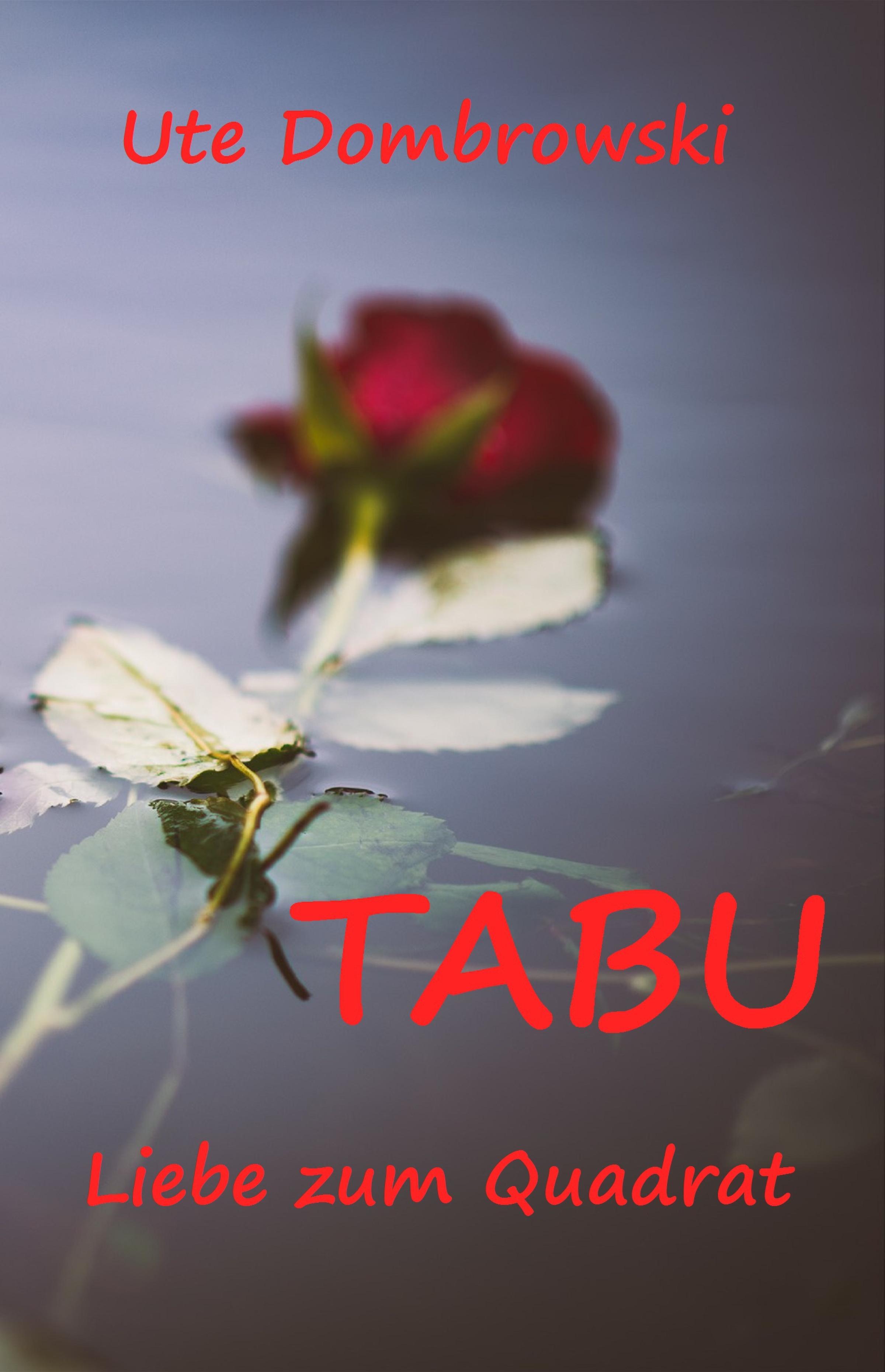 Обложка книги «Tabu Liebe zum Quadrat»