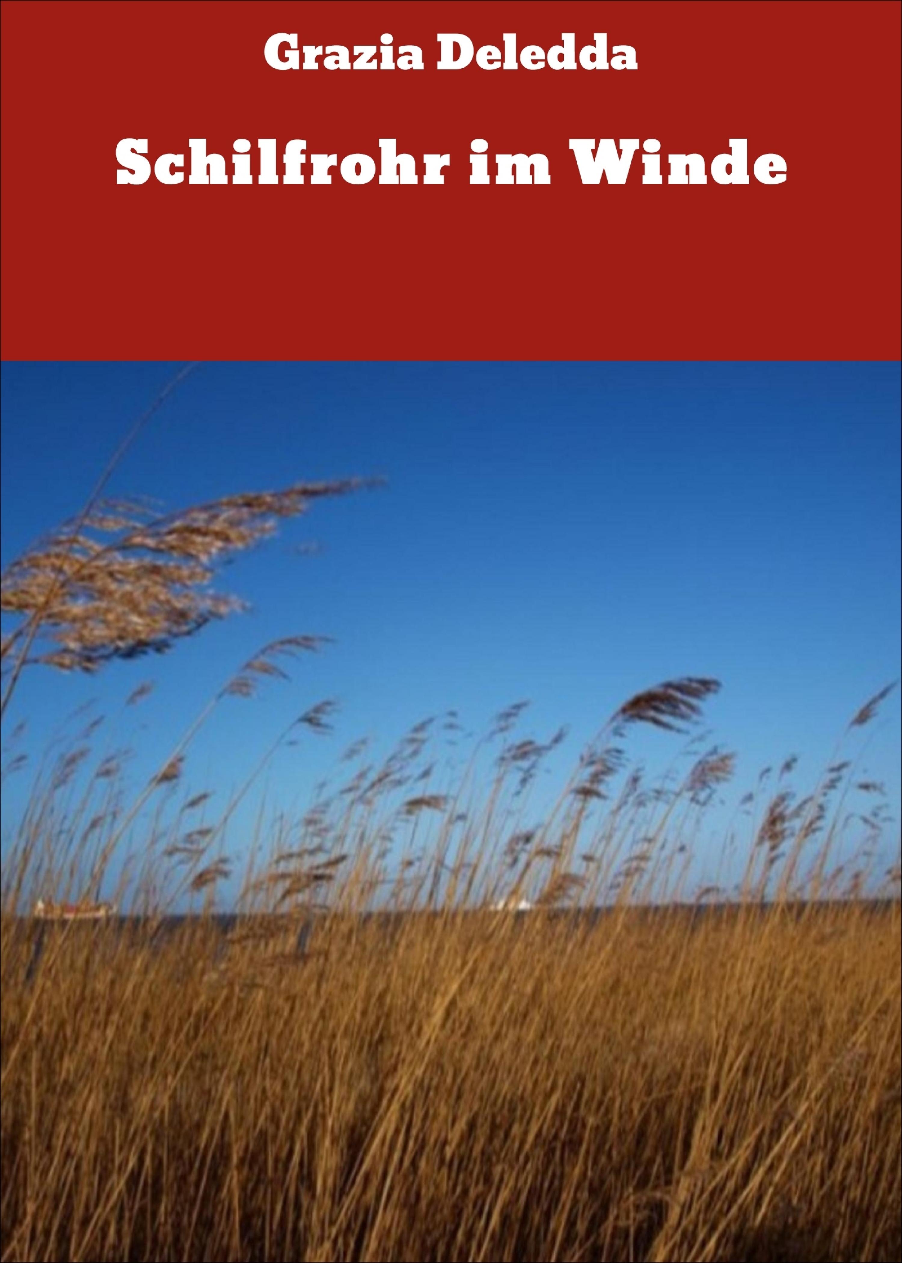Обложка книги «Schilfrohr im Winde»