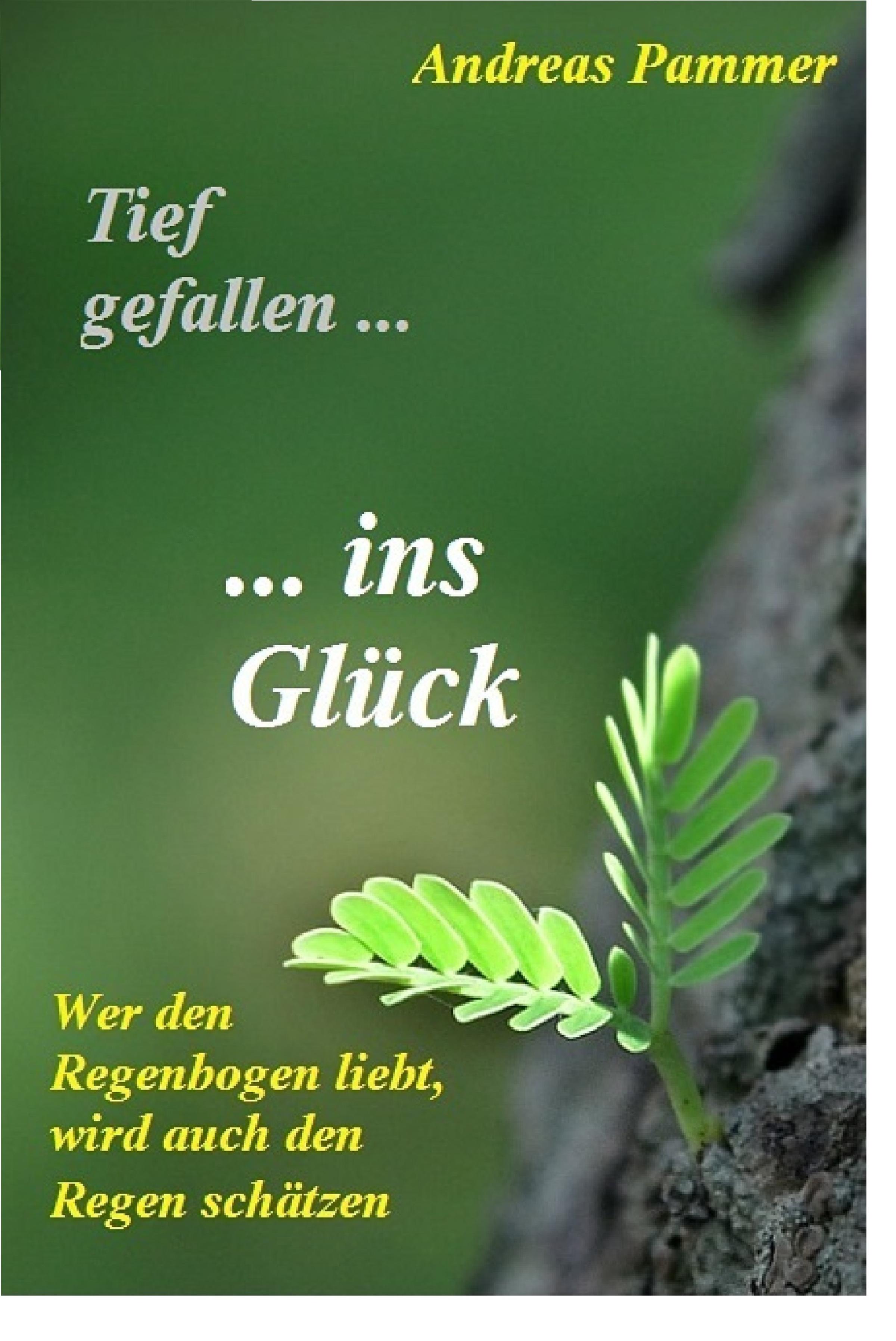 Обложка книги «Tief gefallen... ...ins Glück»