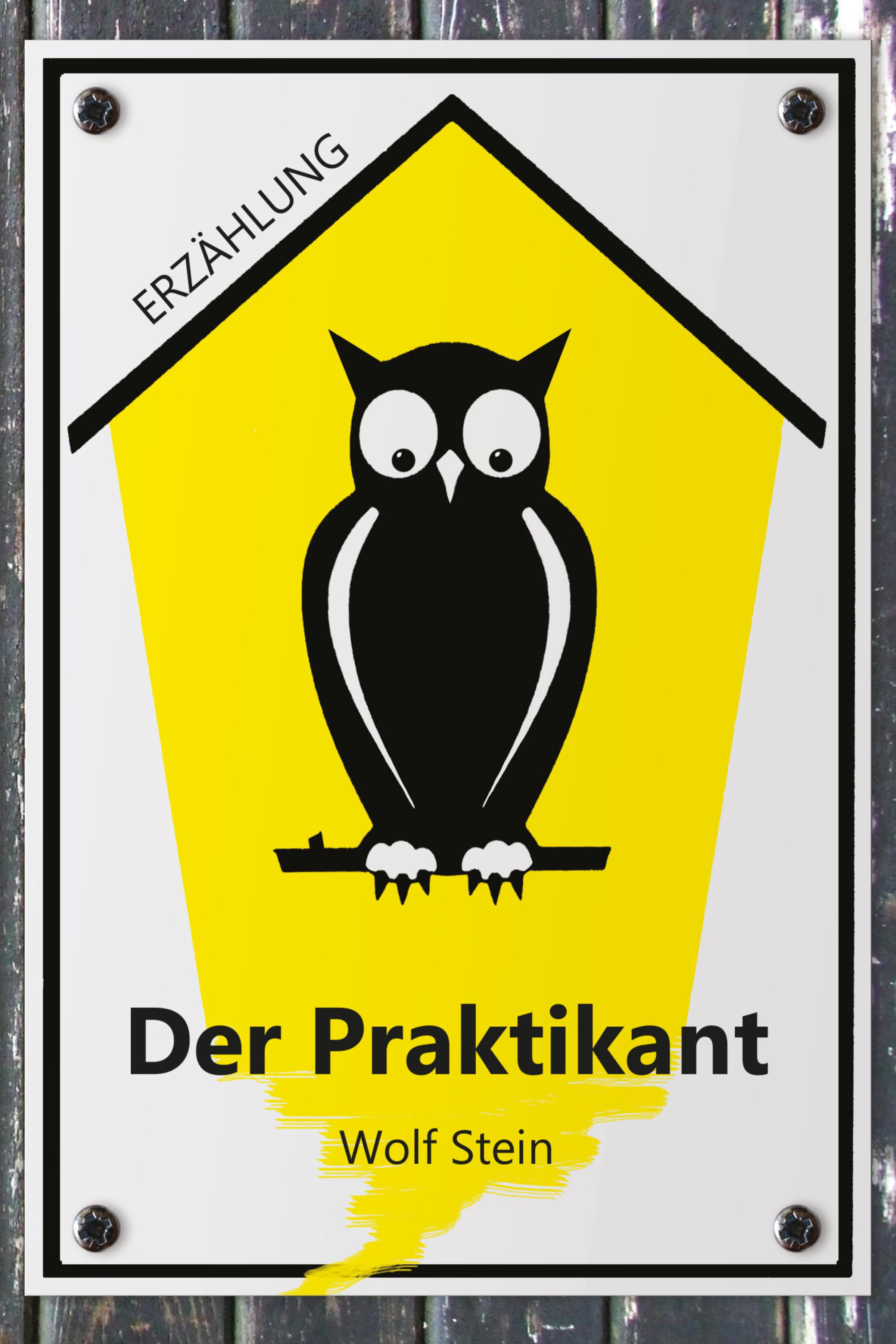Обложка книги «Der Praktikant»