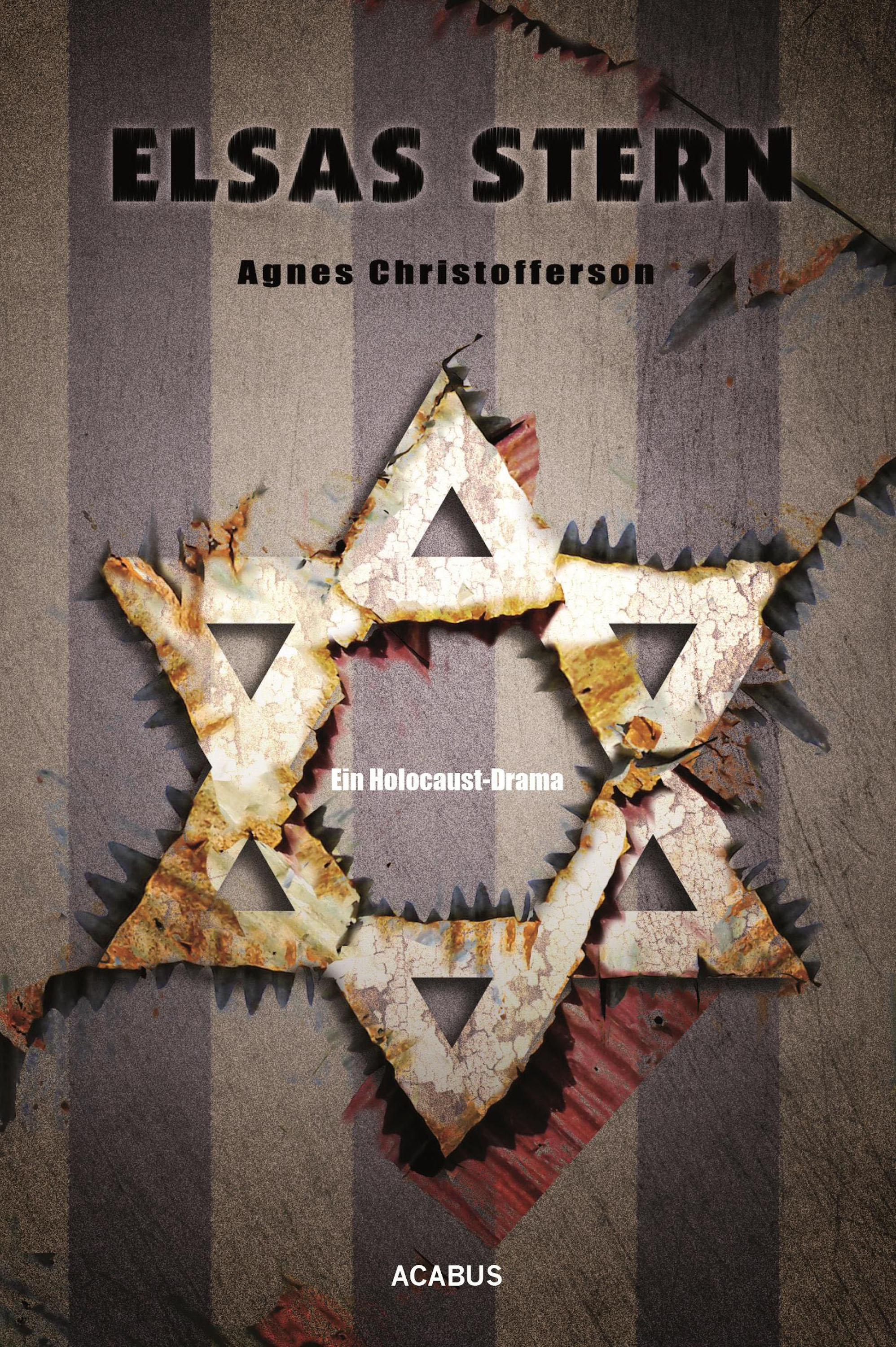 Обложка книги «Elsas Stern. Ein Holocaust-Drama»