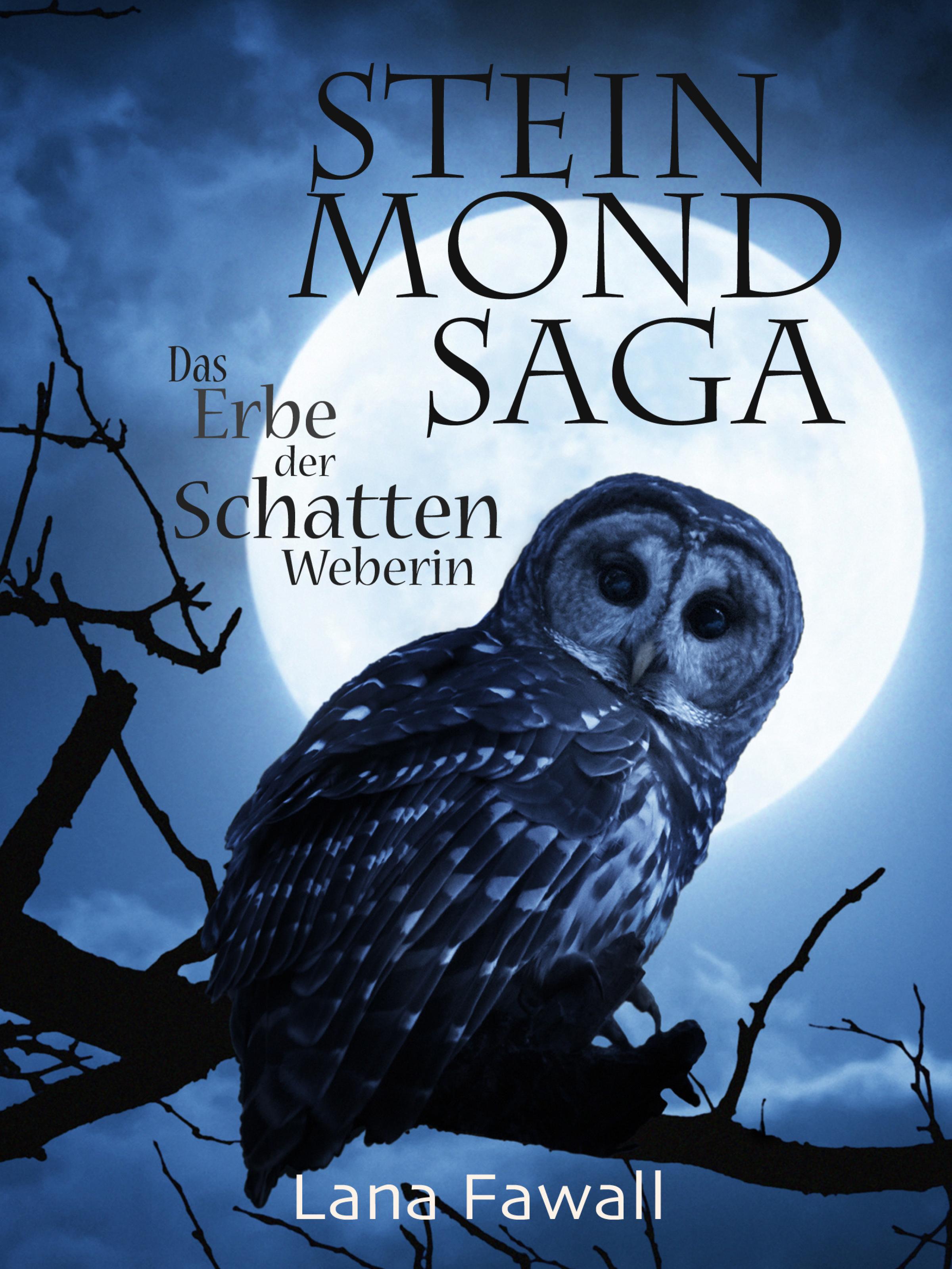 Обложка книги «Steinmondsaga 1»