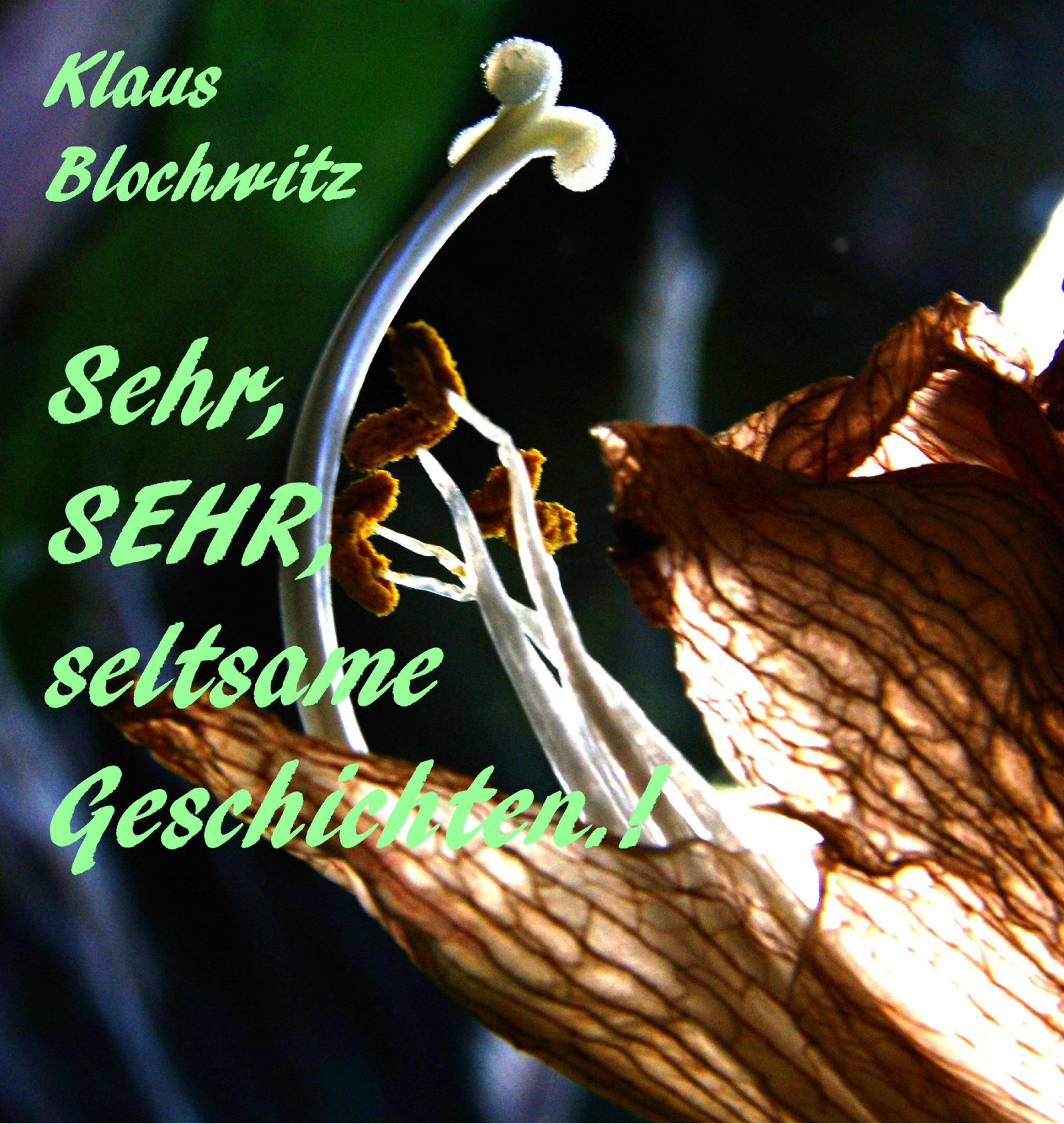 Обложка книги «Sehr, SEHR, seltsame Geschichten»