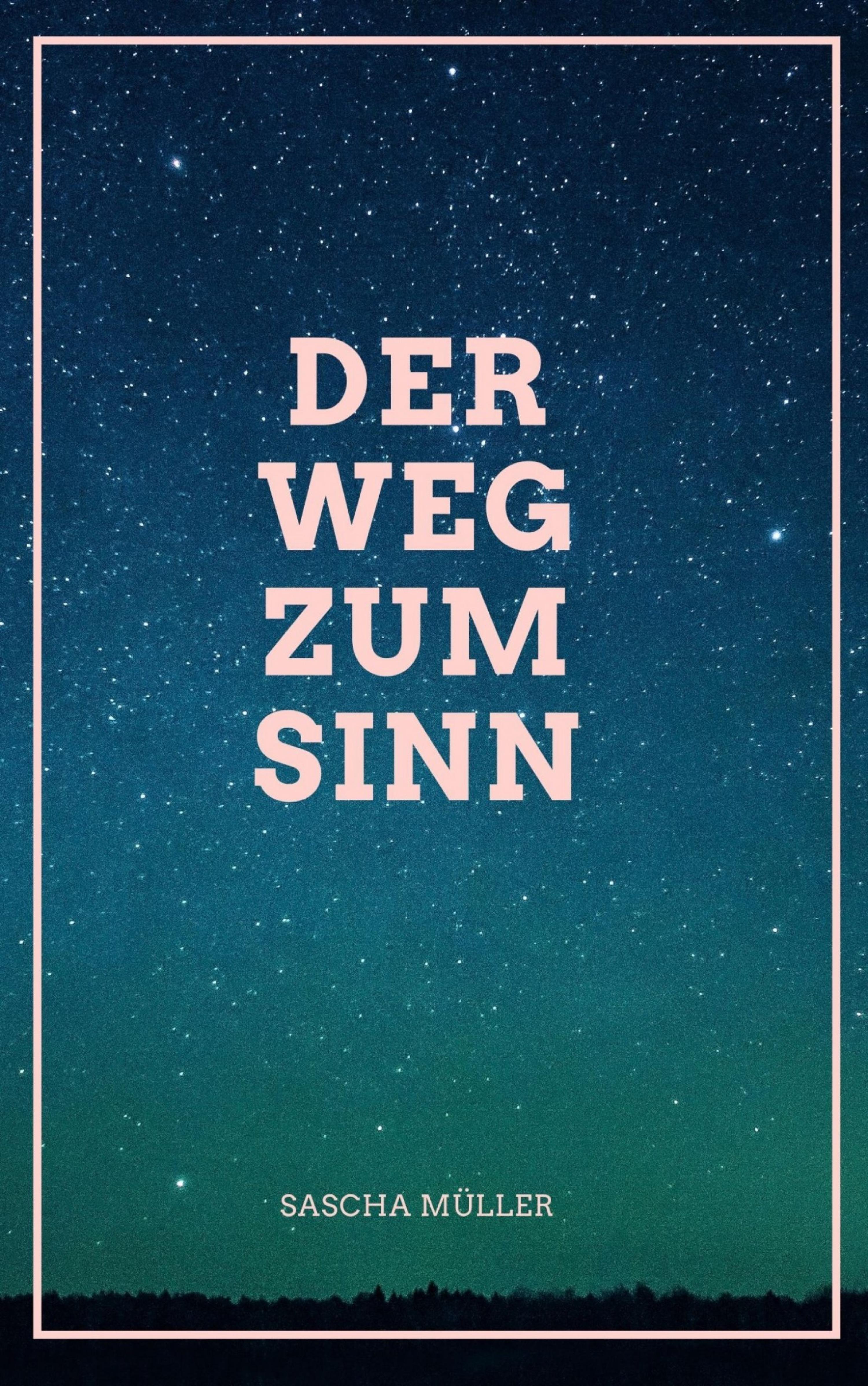 Обложка книги «Der Weg zum Sinn»