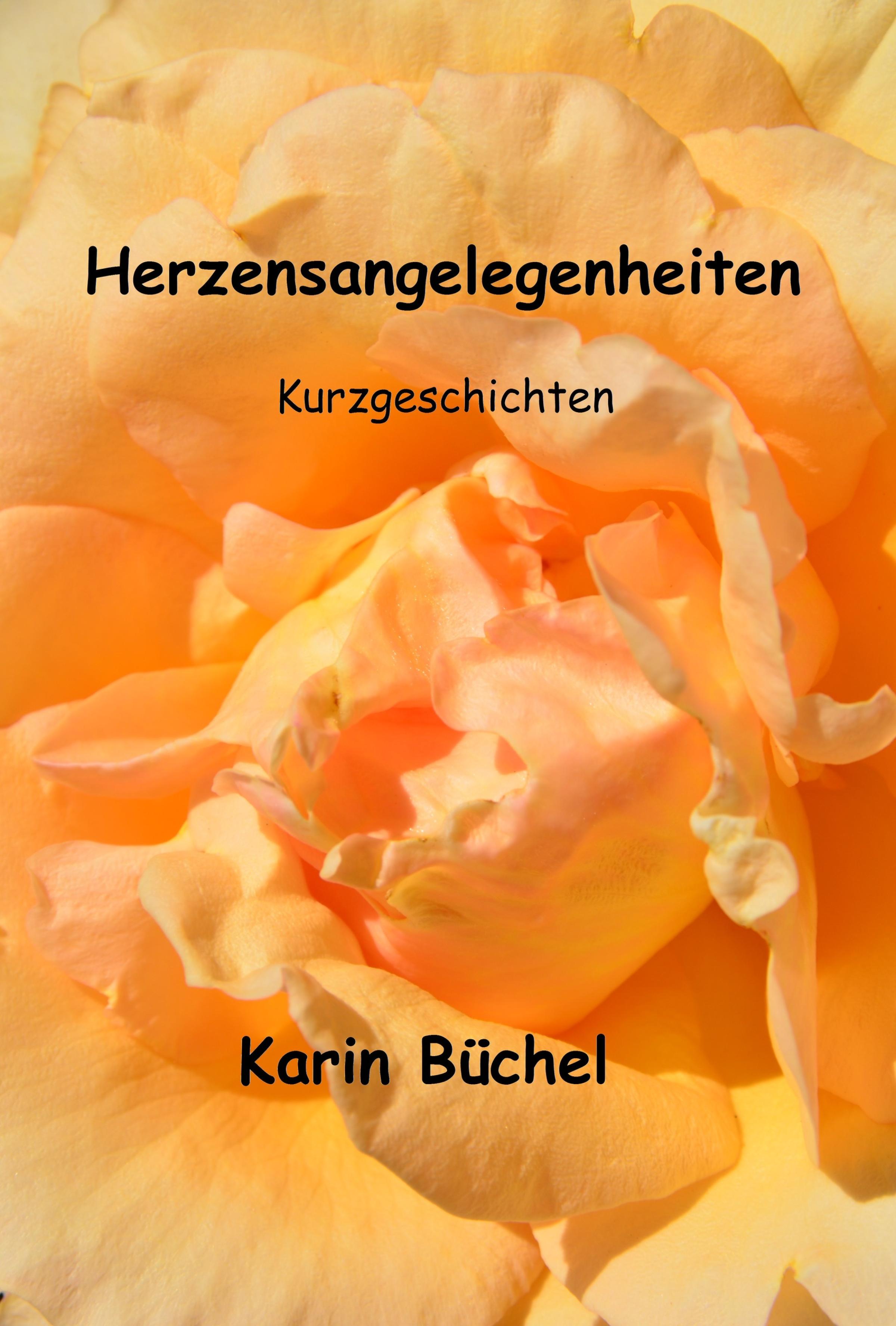 Обложка книги «Herzensangelegenheiten»