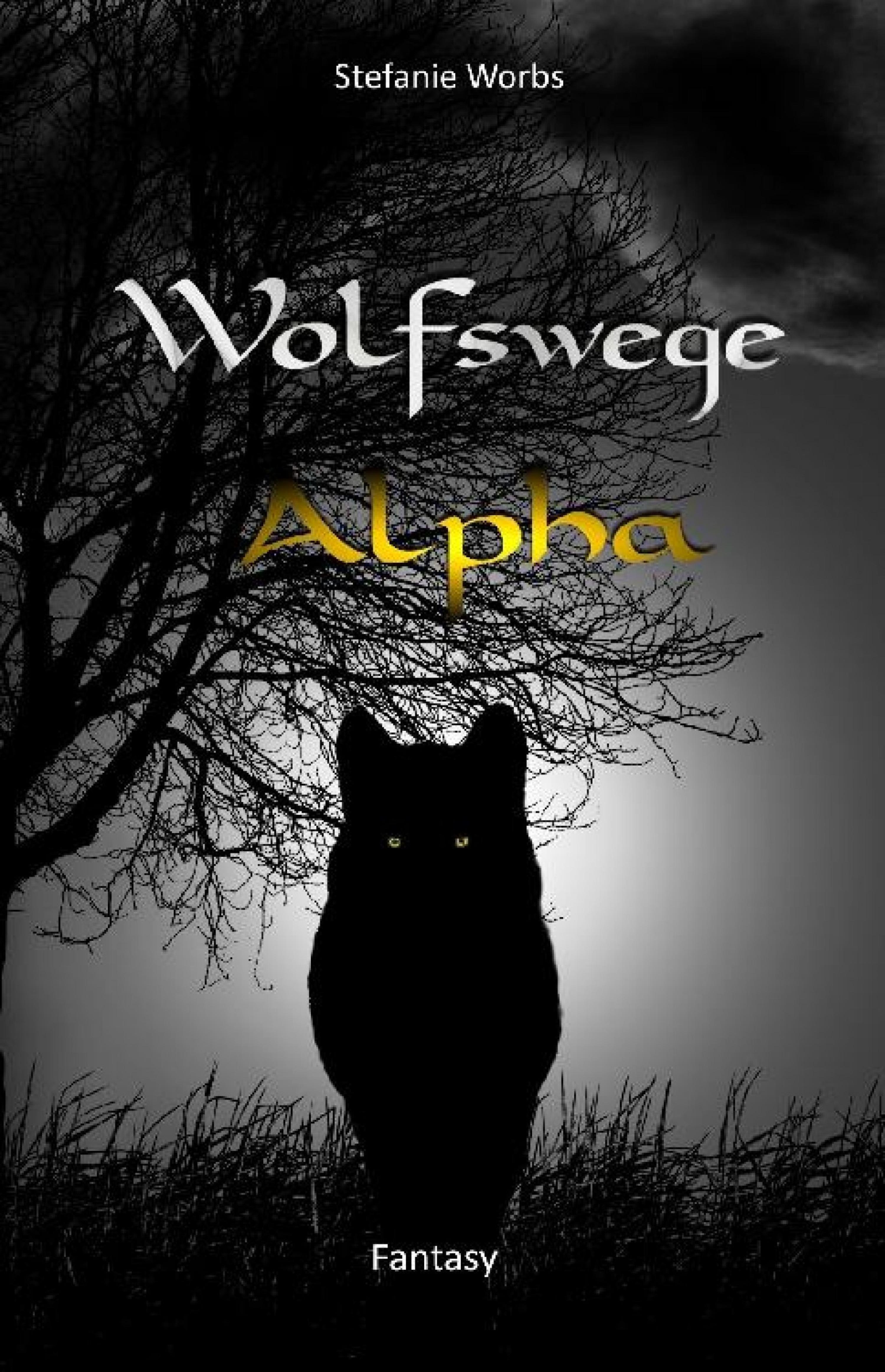 Обложка книги «Wolfswege 5»