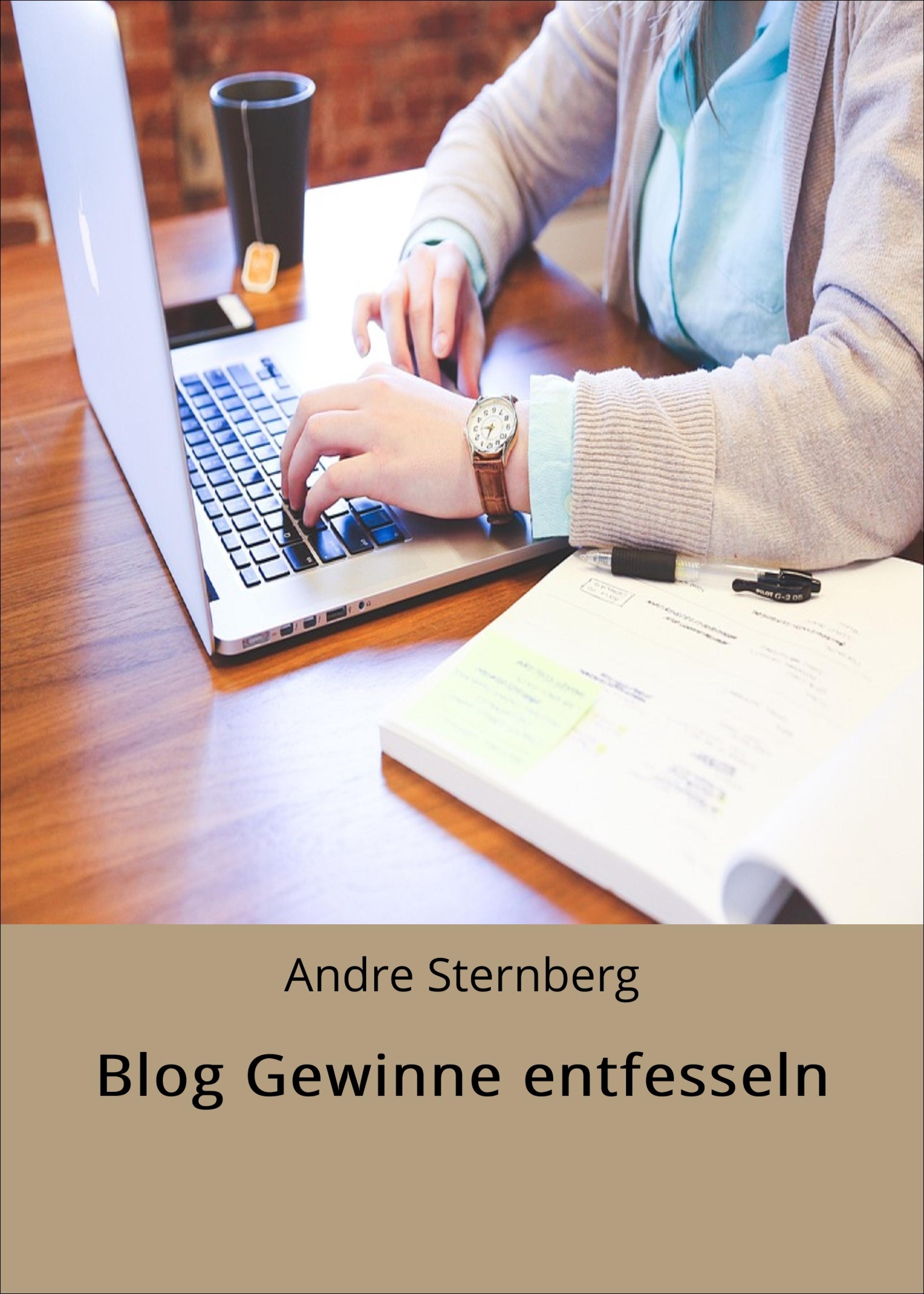 Обложка книги «Blog Gewinne entfesseln»