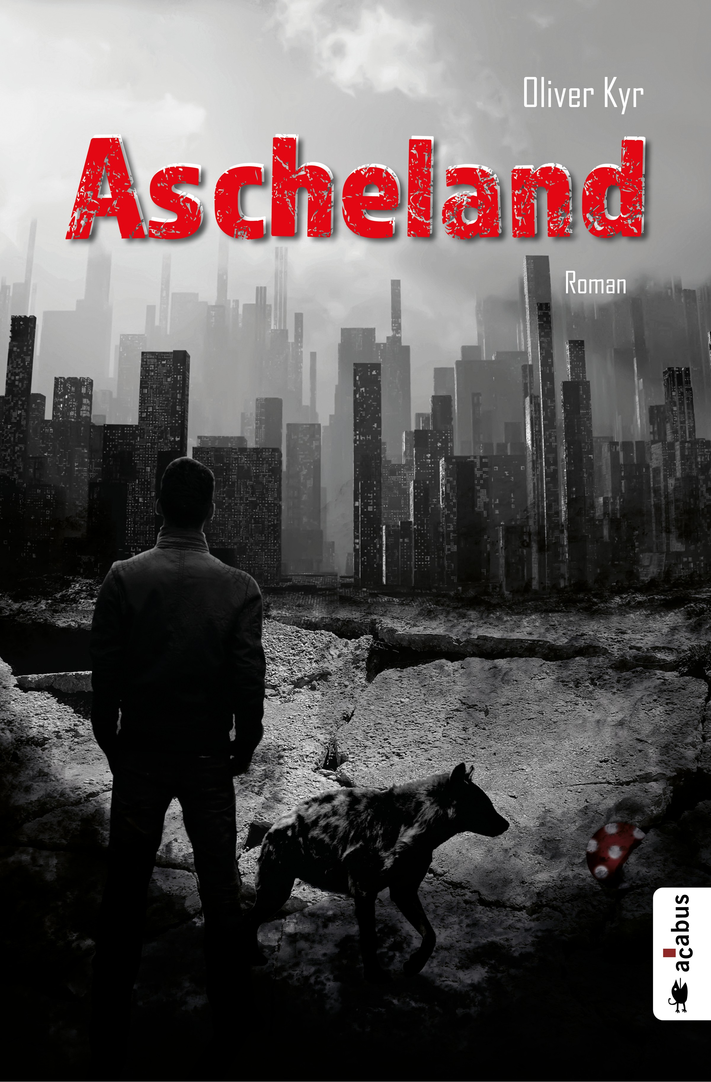 Обложка книги «Ascheland»