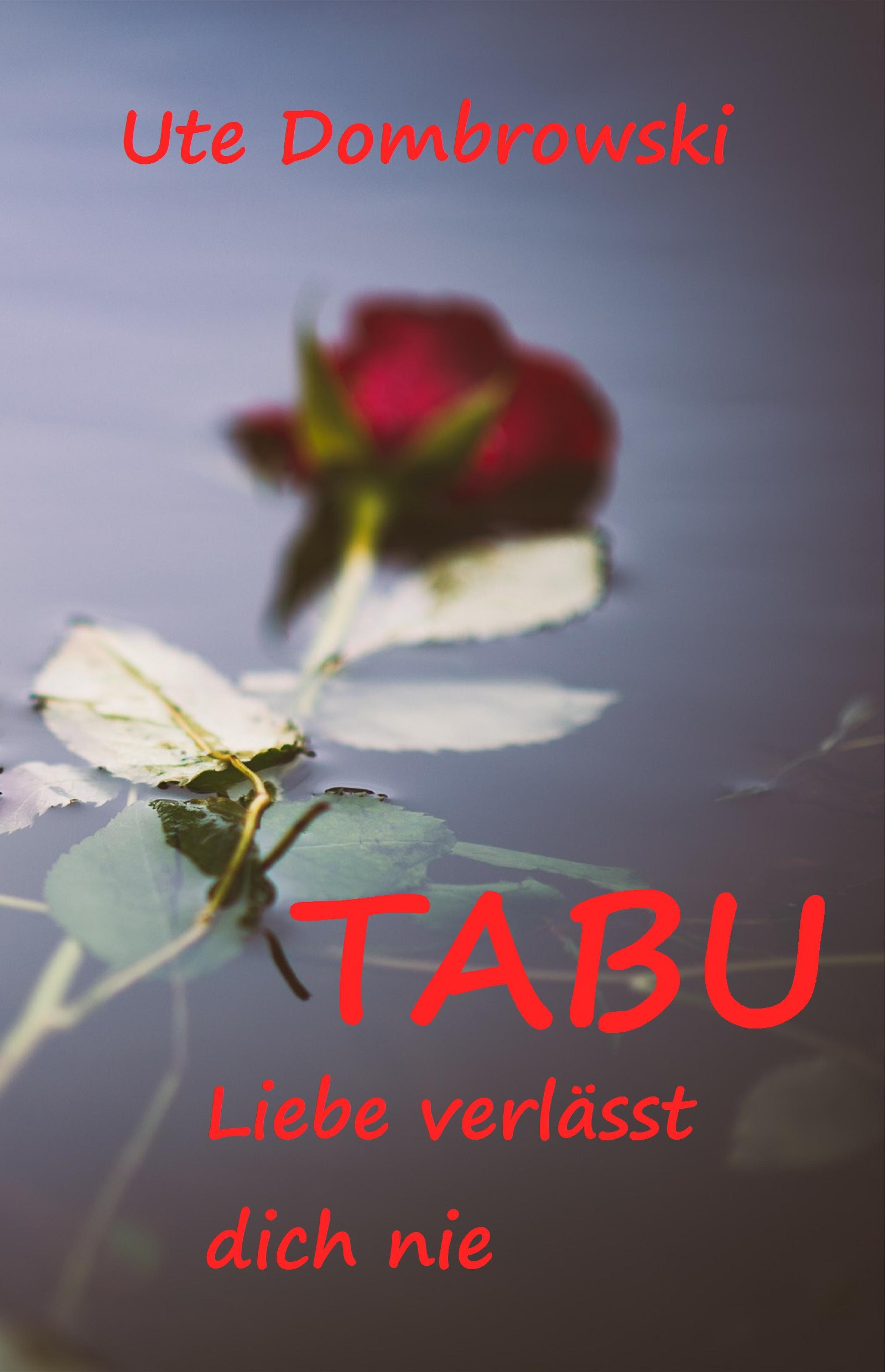 Обложка книги «Tabu Liebe verlässt dich nie»