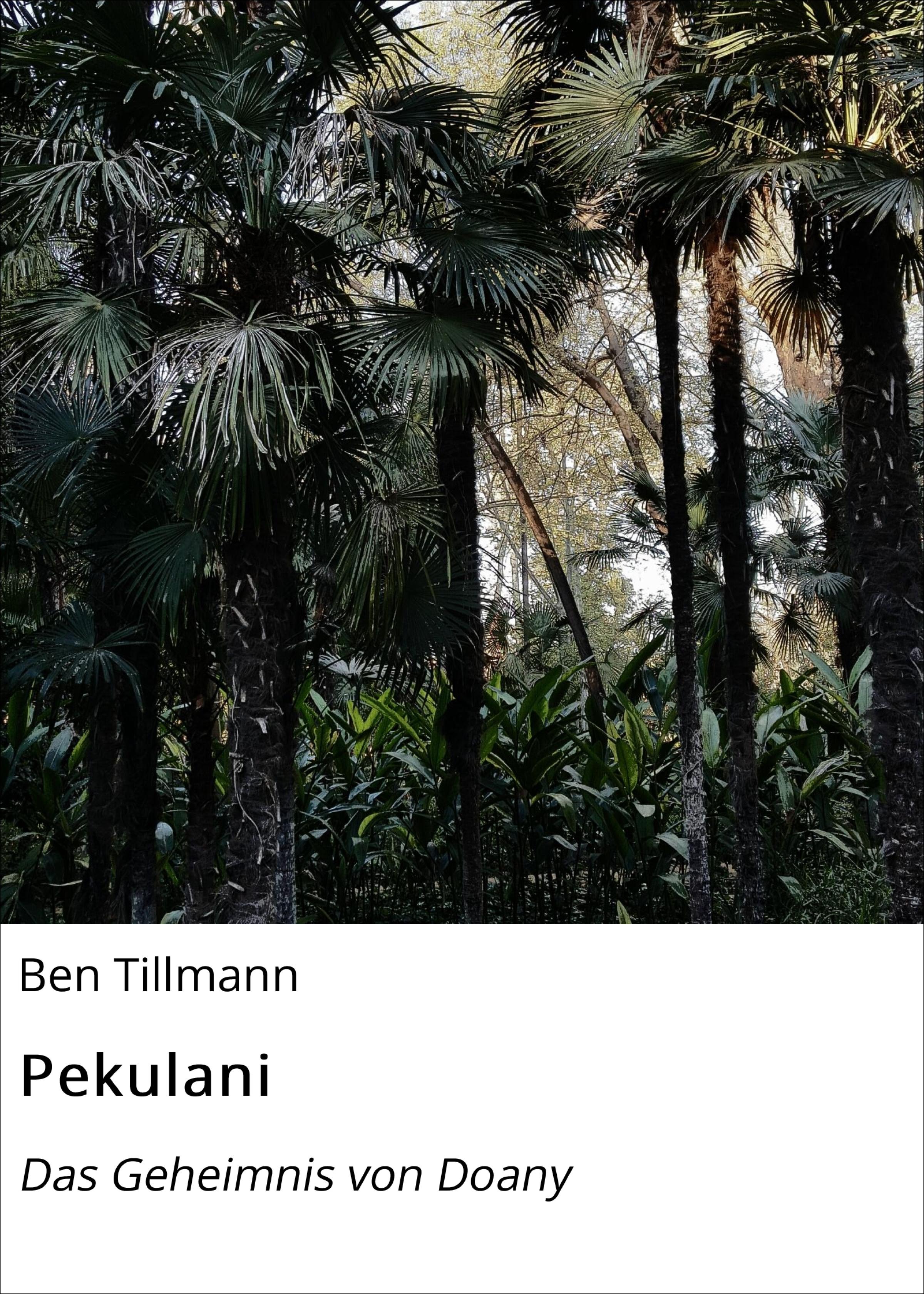 Обложка книги «Pekulani»