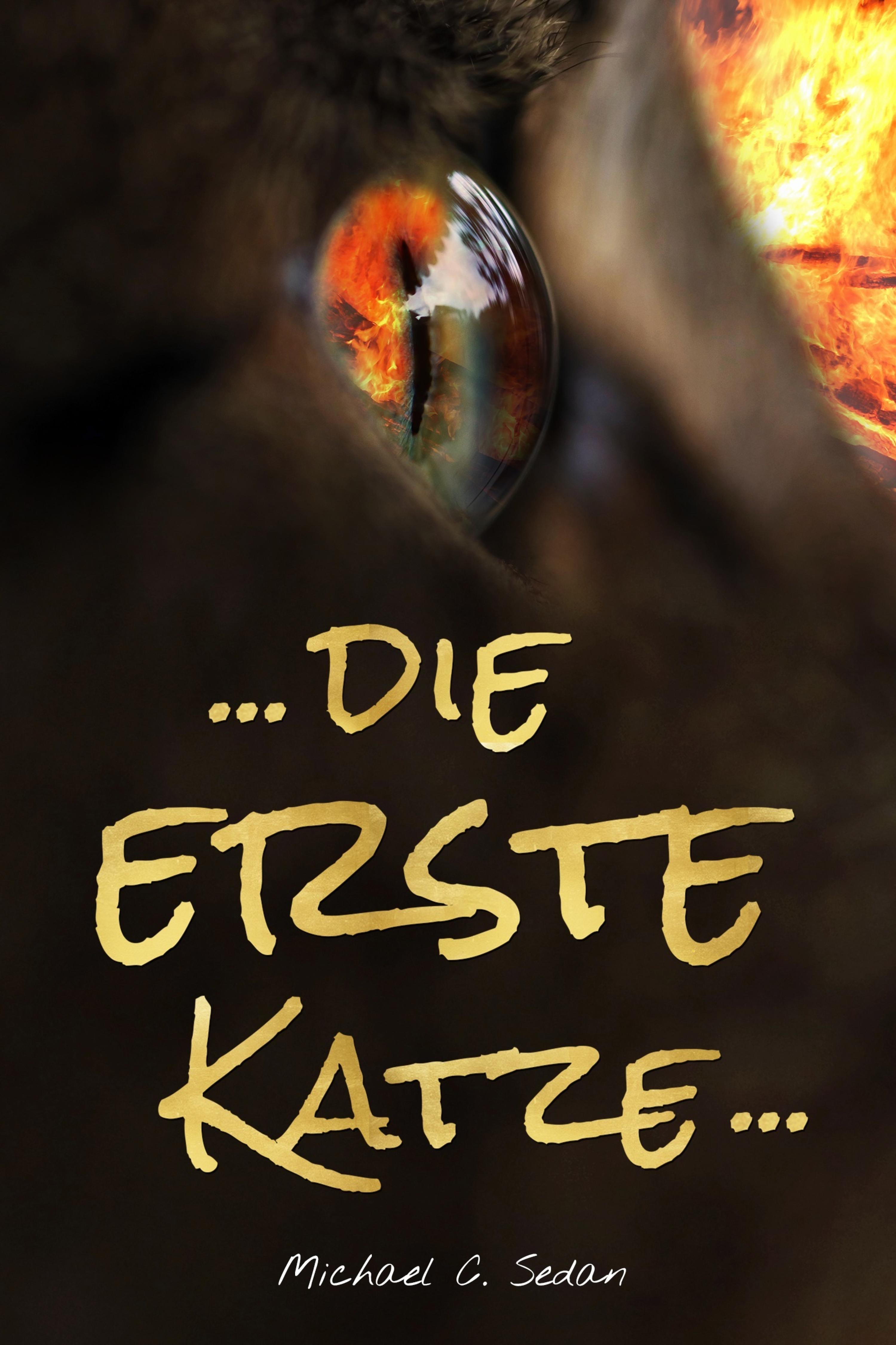 Обложка книги «... die erste Katze ...»