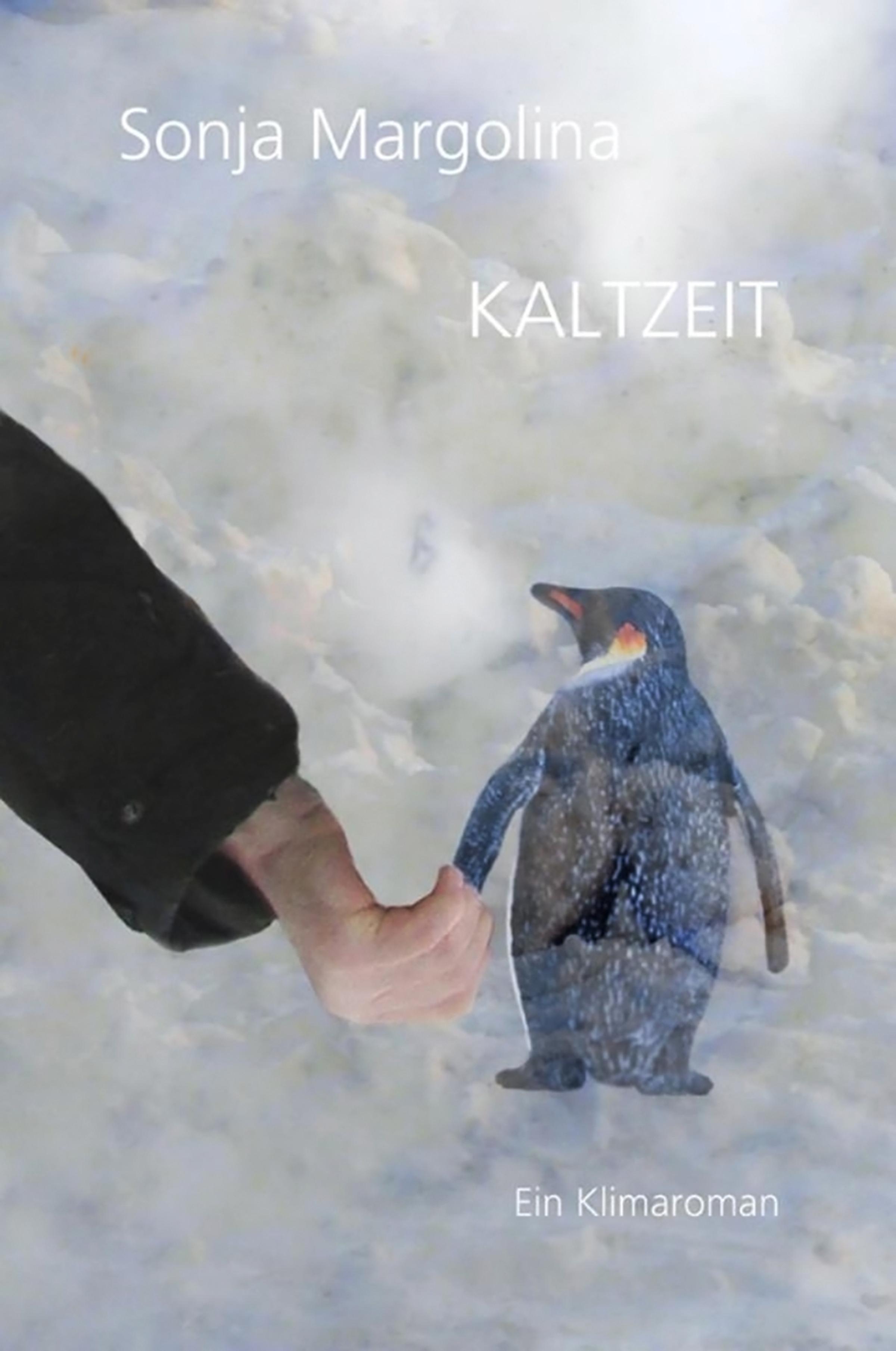 Обложка книги «KALTZEIT»