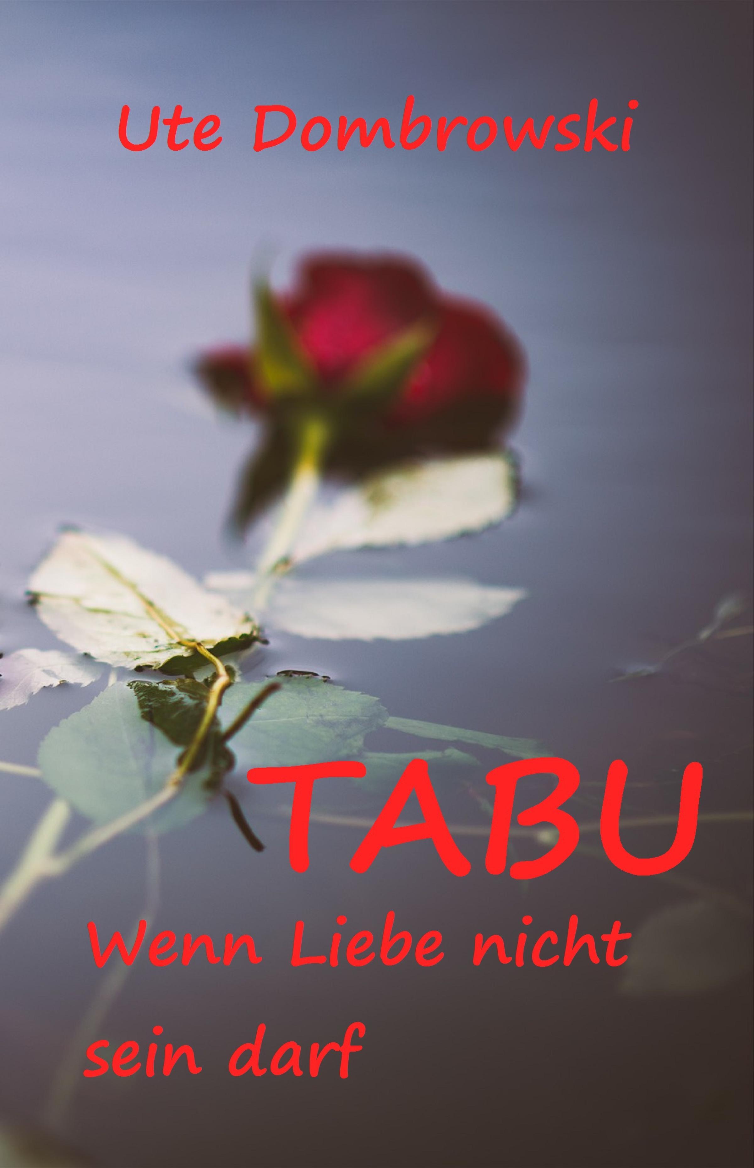 Обложка книги «Tabu Wenn Liebe nicht sein darf»