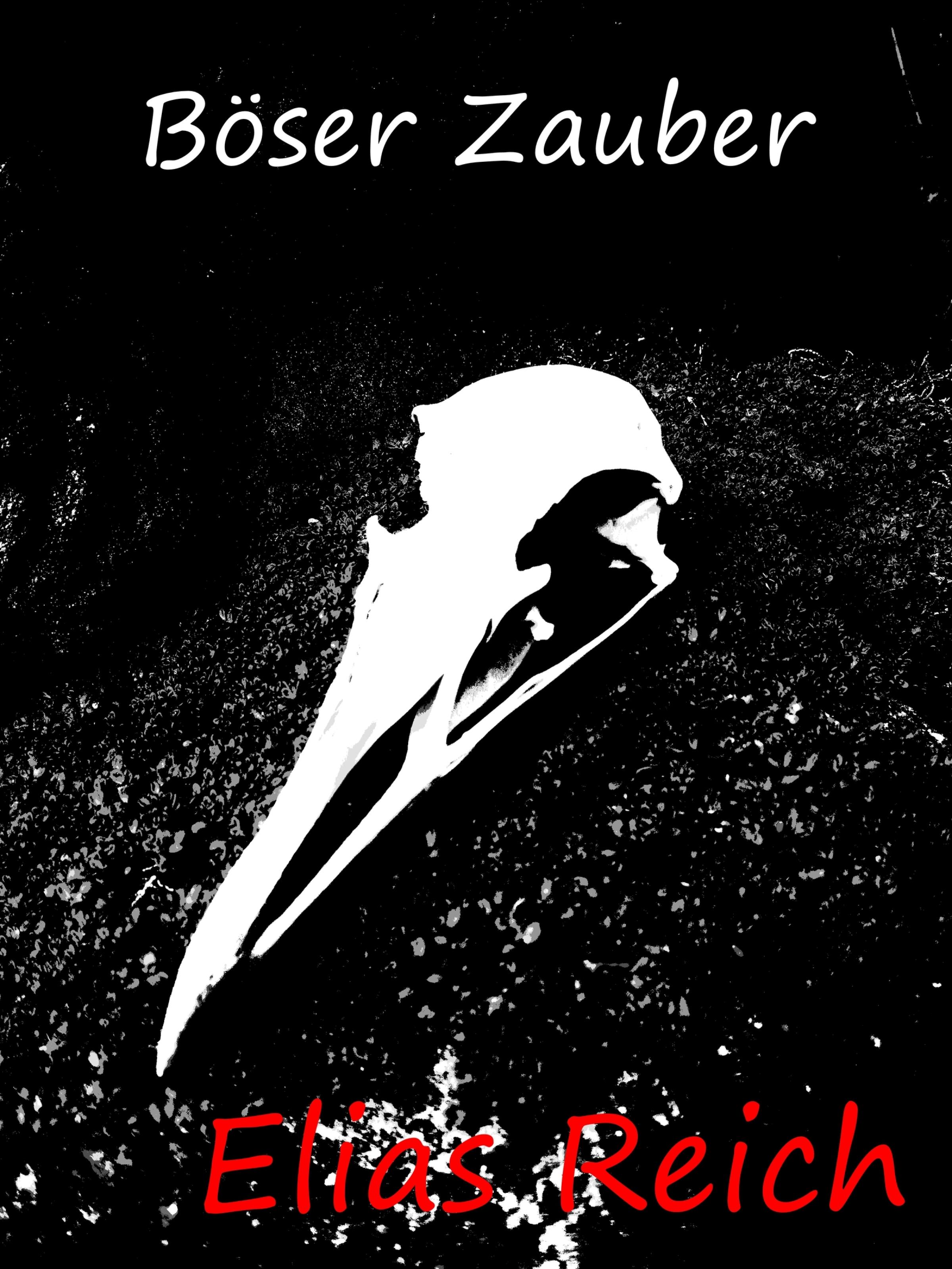 Обложка книги «Böser Zauber»