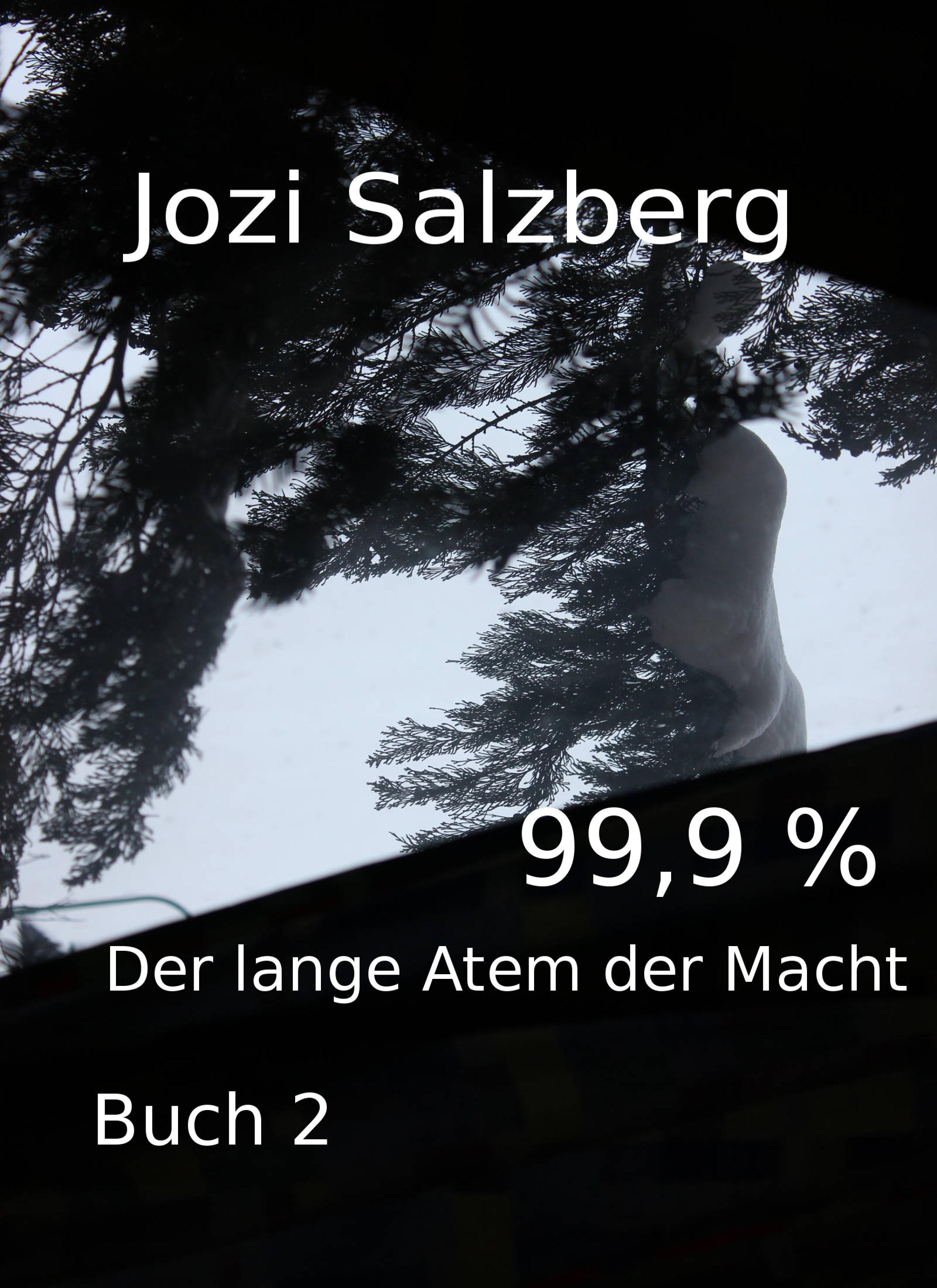Обложка книги «99,9 % - Buch 2»