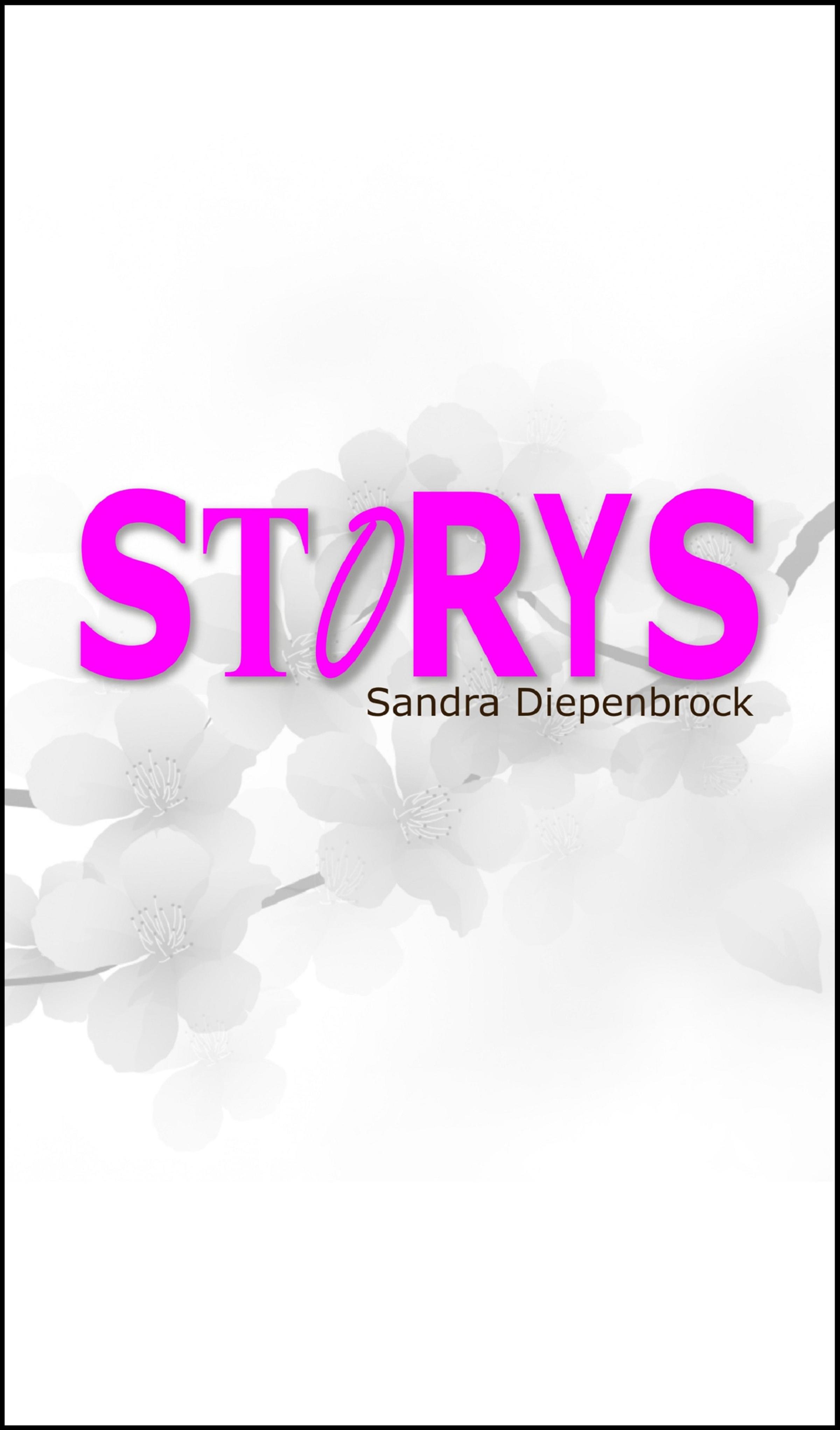 Обложка книги «STORYS»