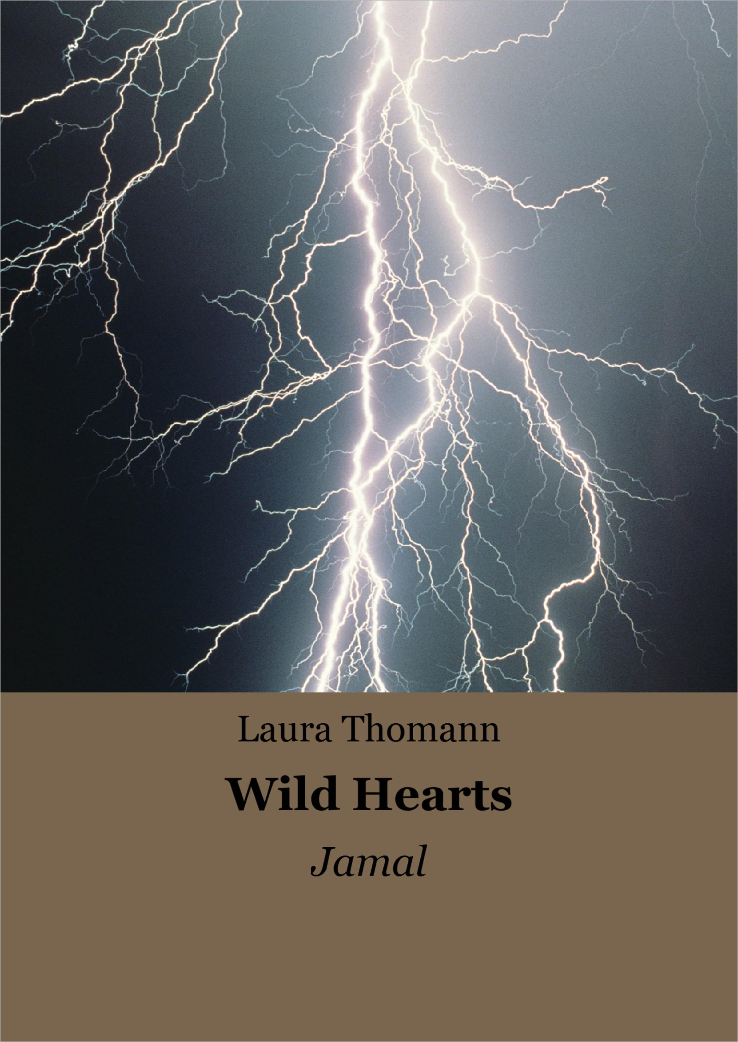 Обложка книги «Wild Hearts»