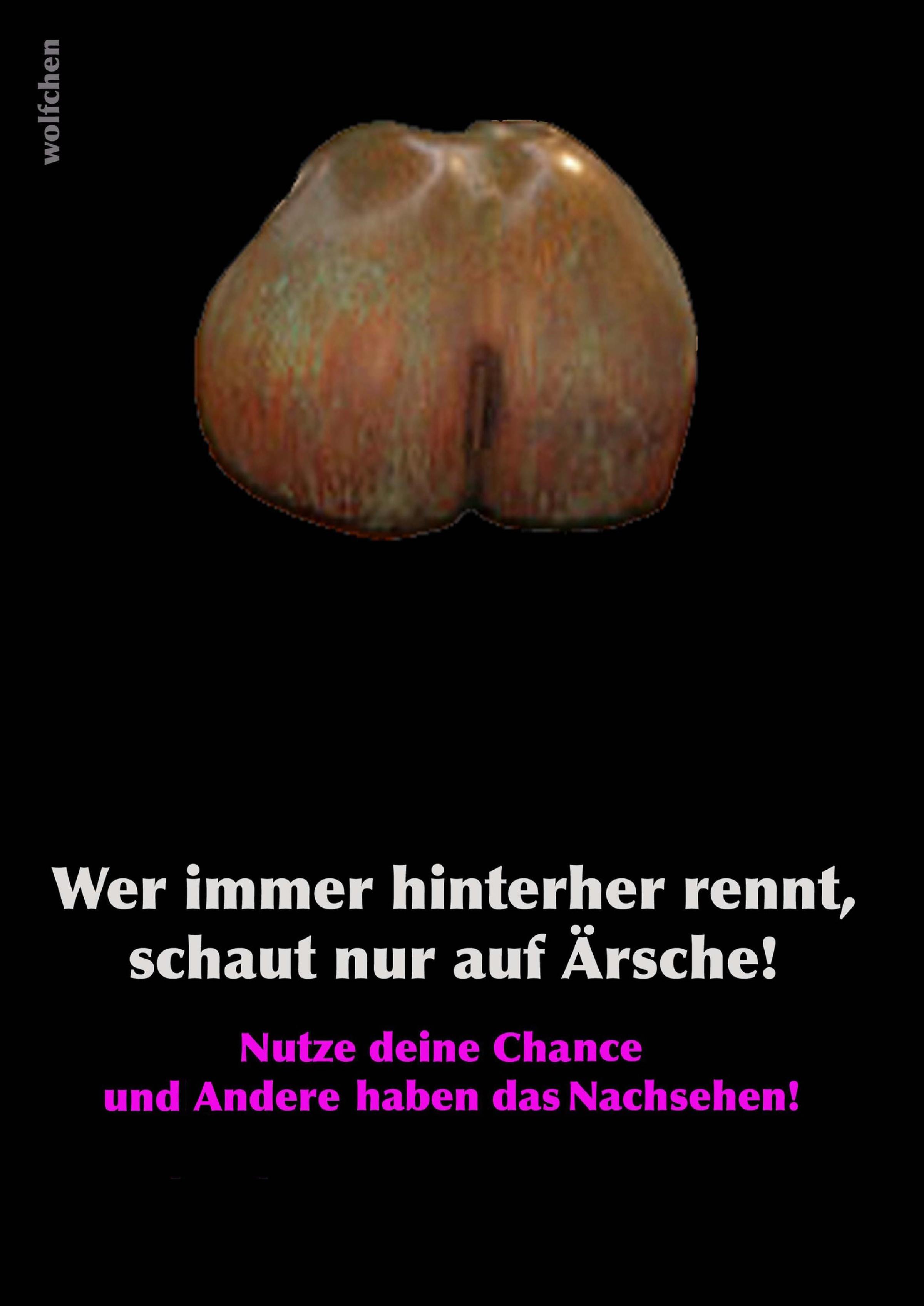 Обложка книги «Wer immer hinterher rennt, schaut nur auf Ärsche!»