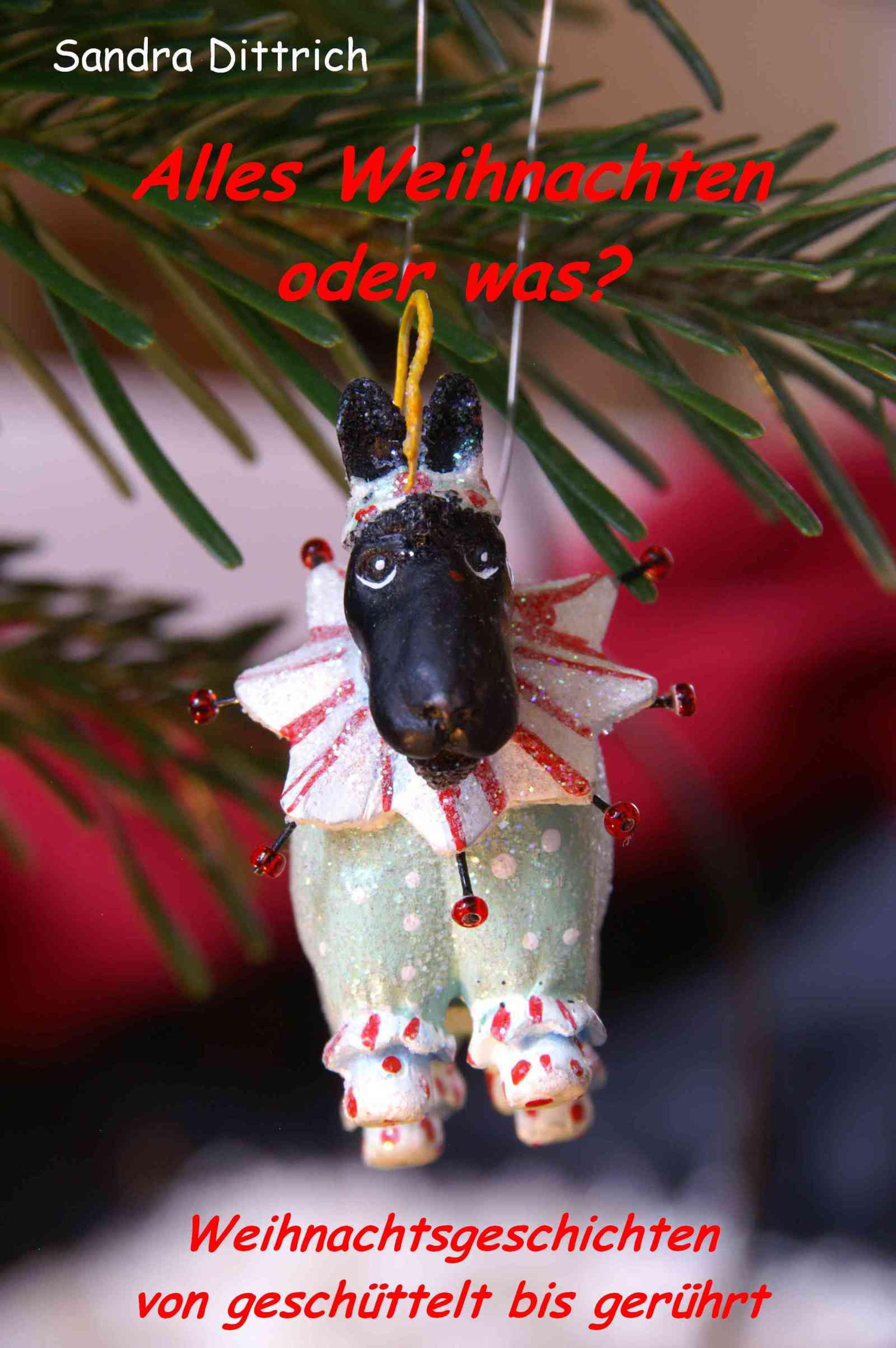 Обложка книги «Alles Weihnachten oder was?»