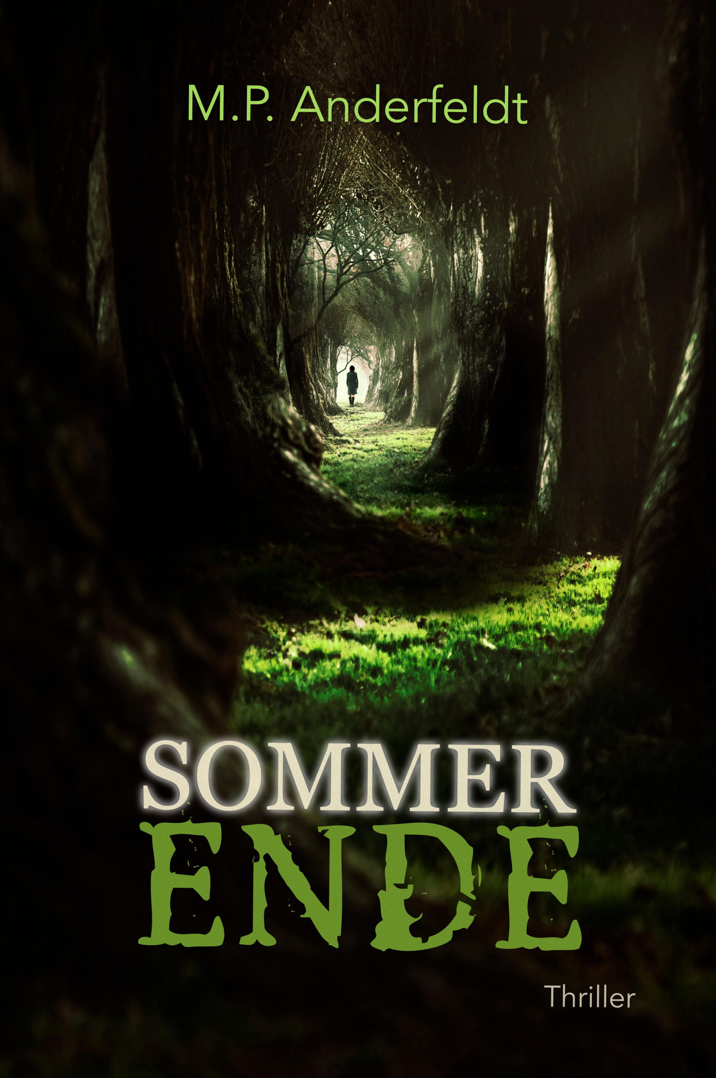 Обложка книги «Sommerende»