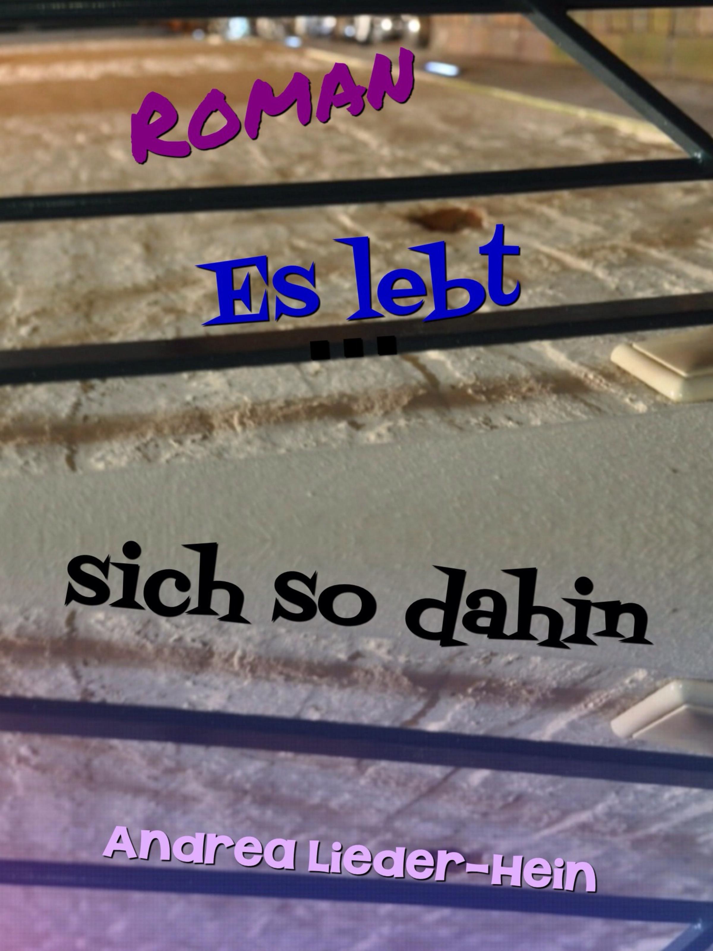 Обложка книги «Es lebt sich so dahin»