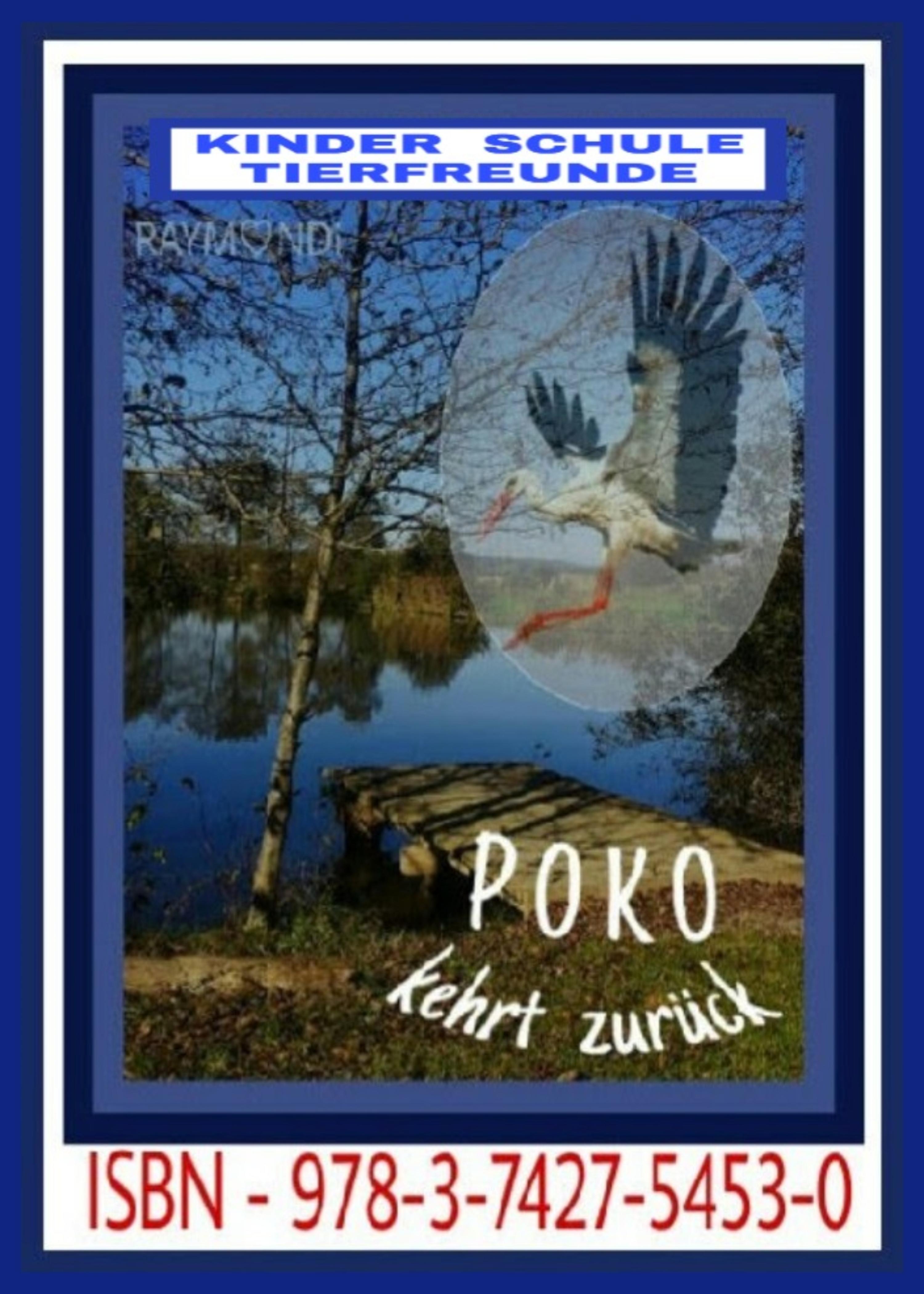 Обложка книги «POKO»