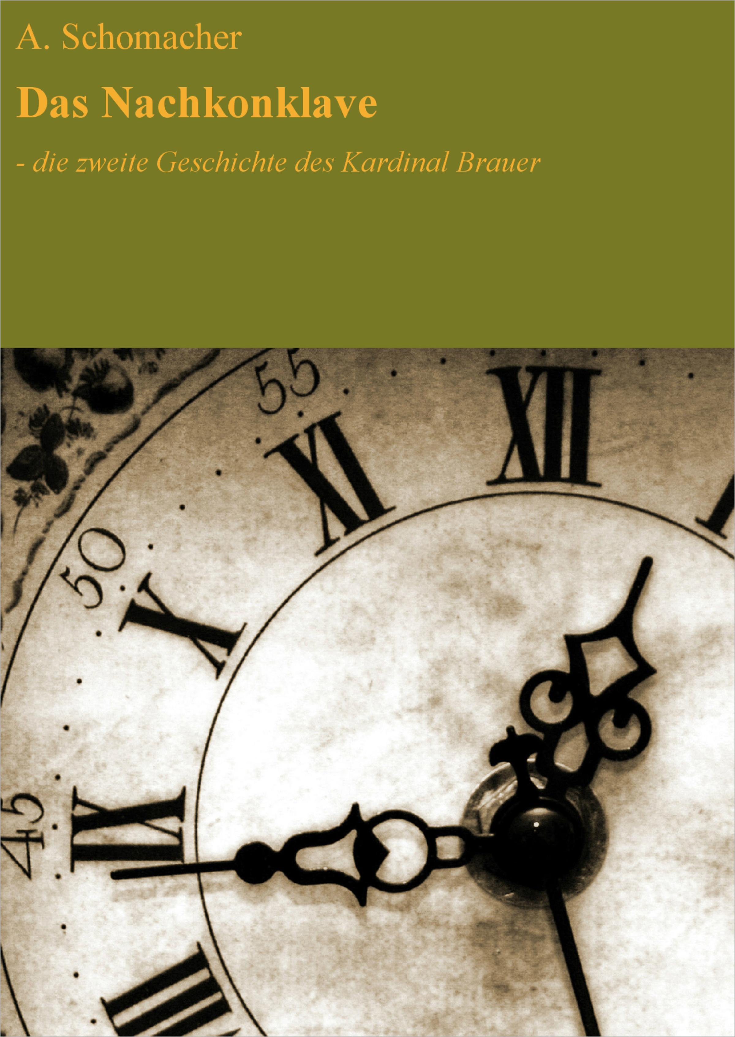 Обложка книги «Das Nachkonklave»