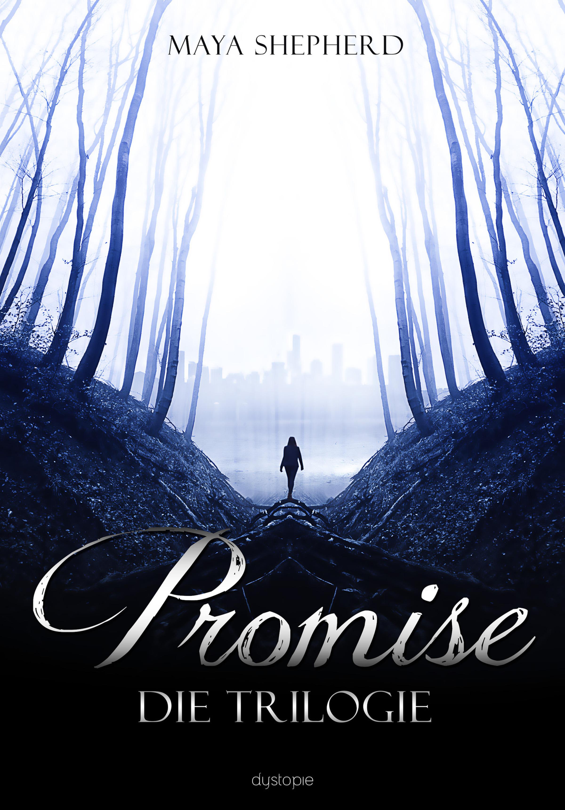 Обложка книги «Promise»