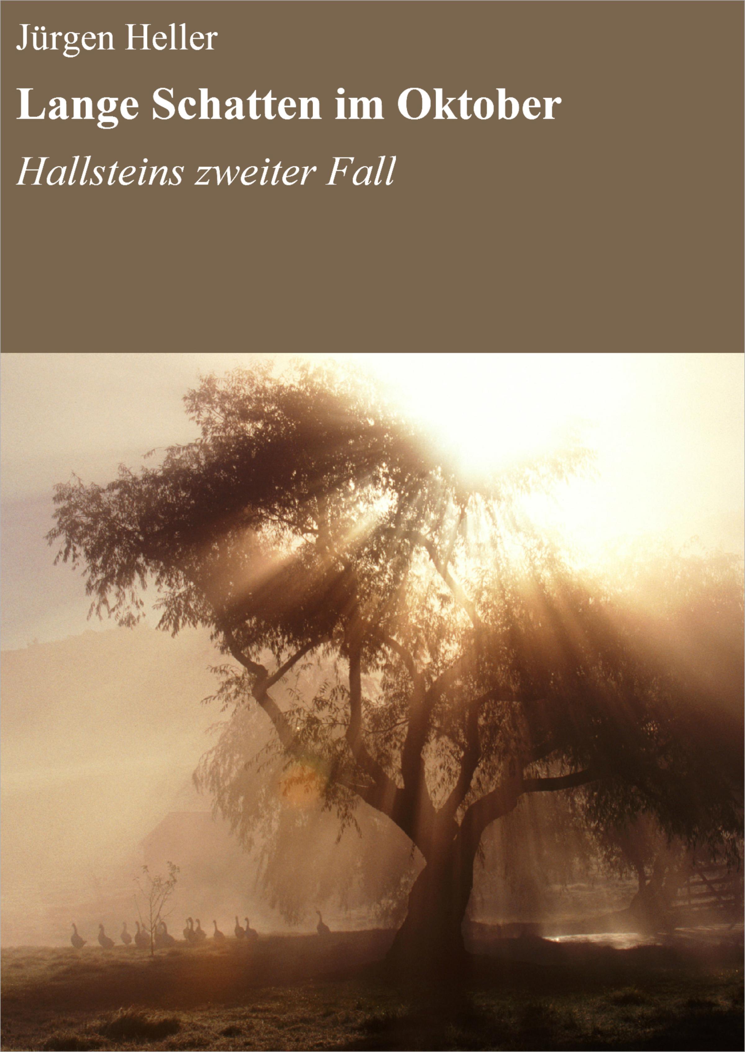 Обложка книги «Lange Schatten im Oktober»