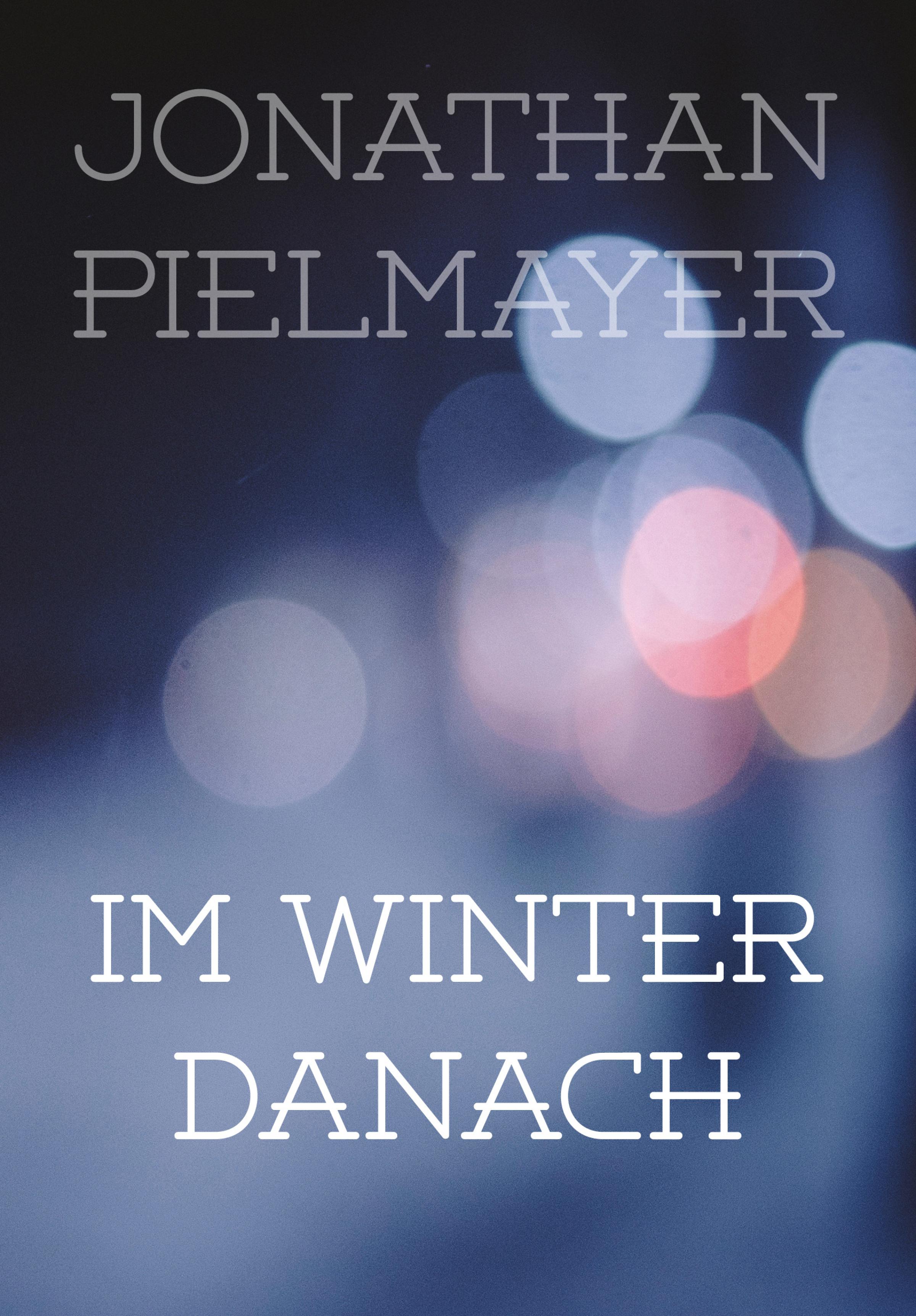 Обложка книги «Im Winter danach»