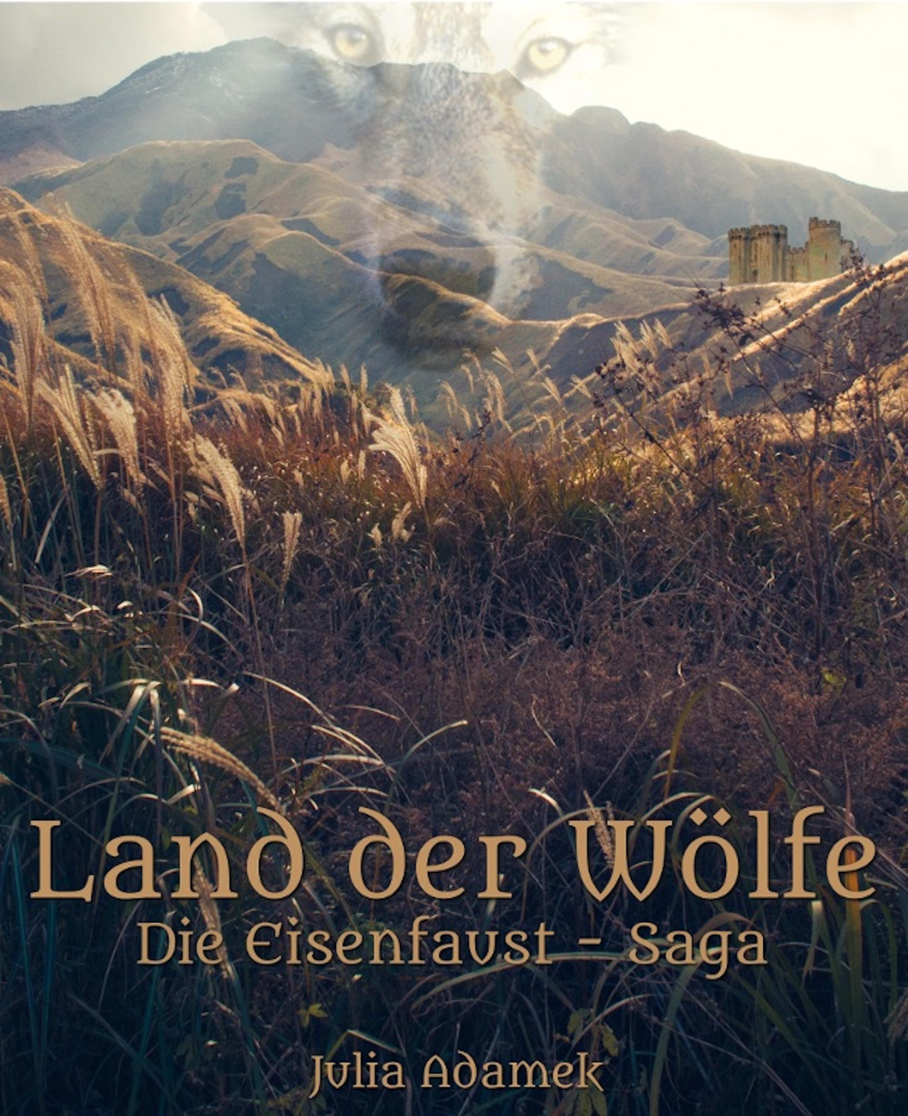 Обложка книги «Land der Wölfe»