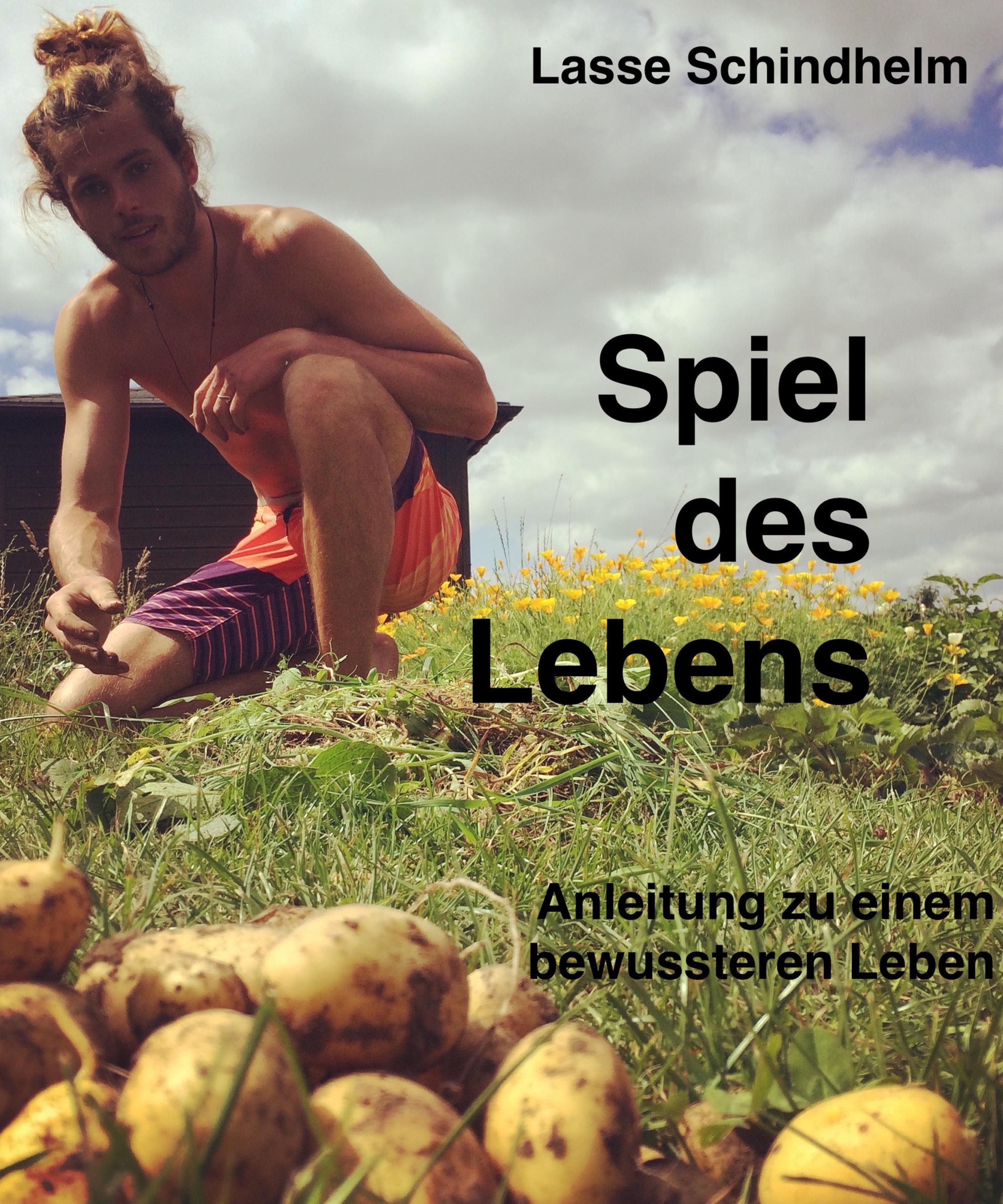 Обложка книги «Spiel des Lebens»