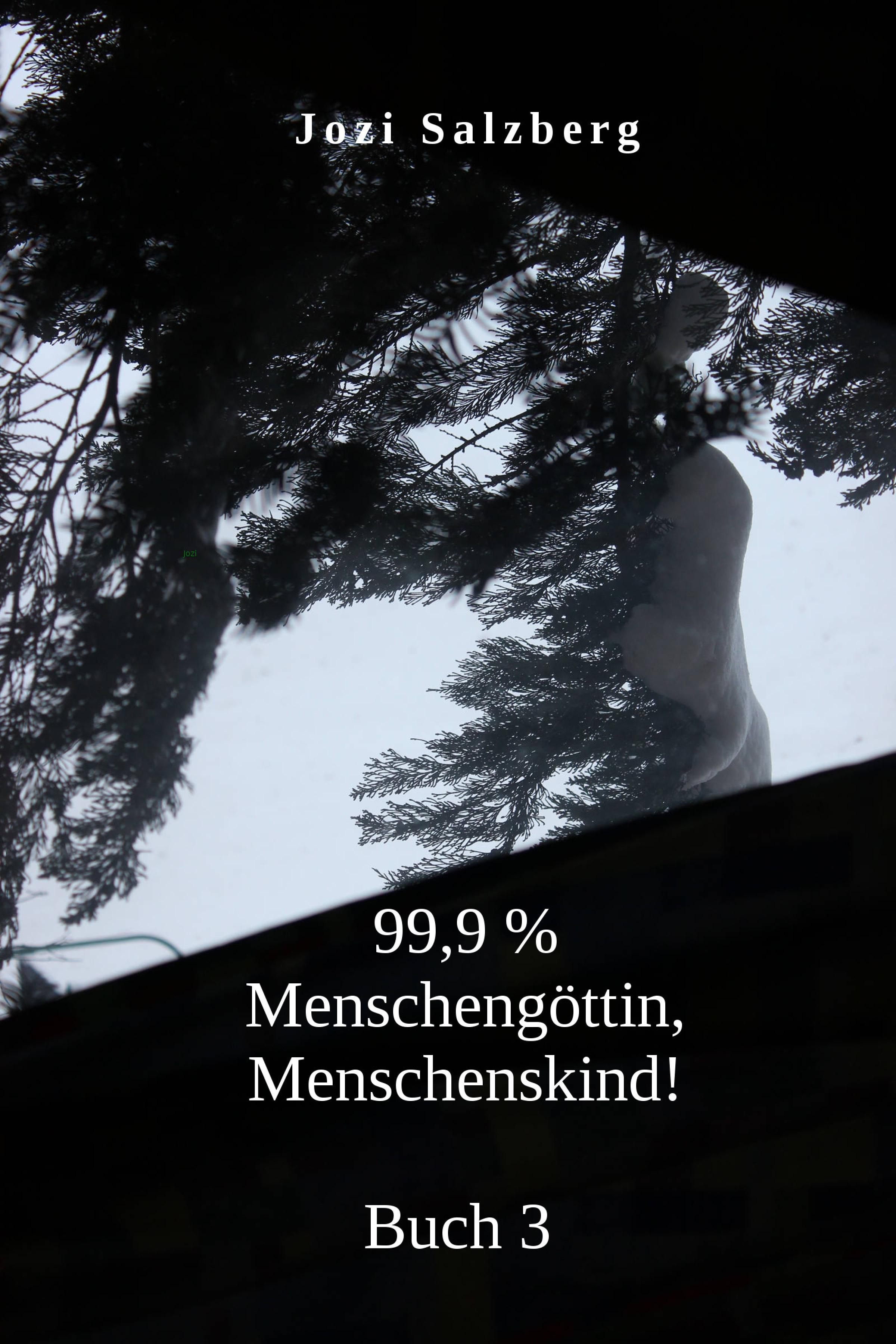 Обложка книги «Menschengöttin, Menschenskind!»