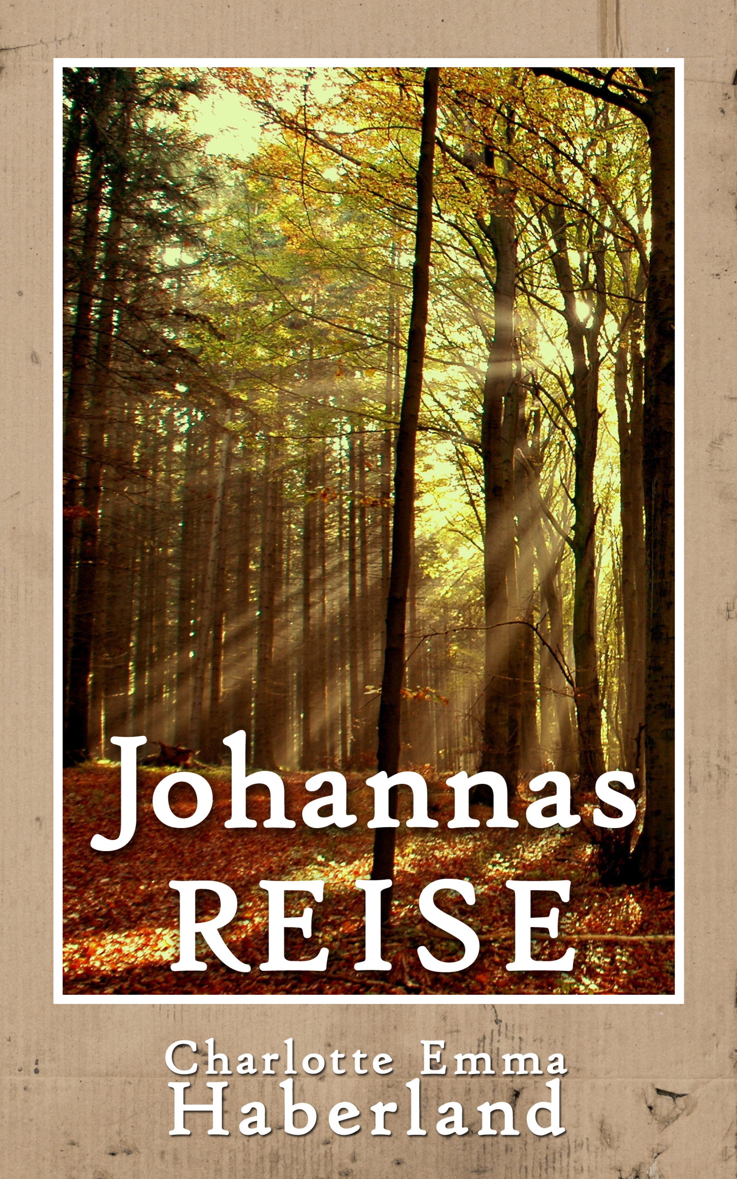 Обложка книги «Johannas Reise»