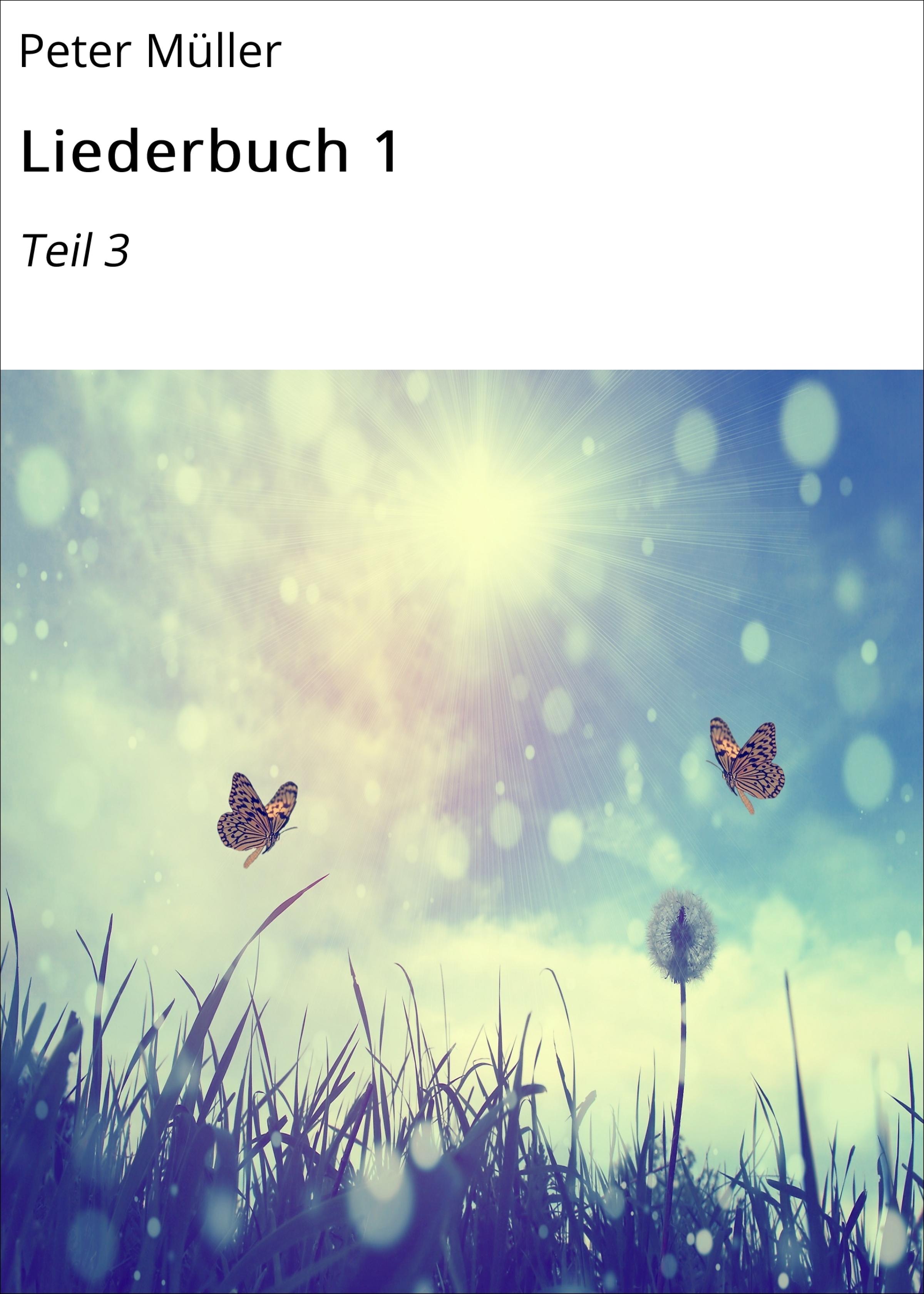 Обложка книги «Liederbuch 1»