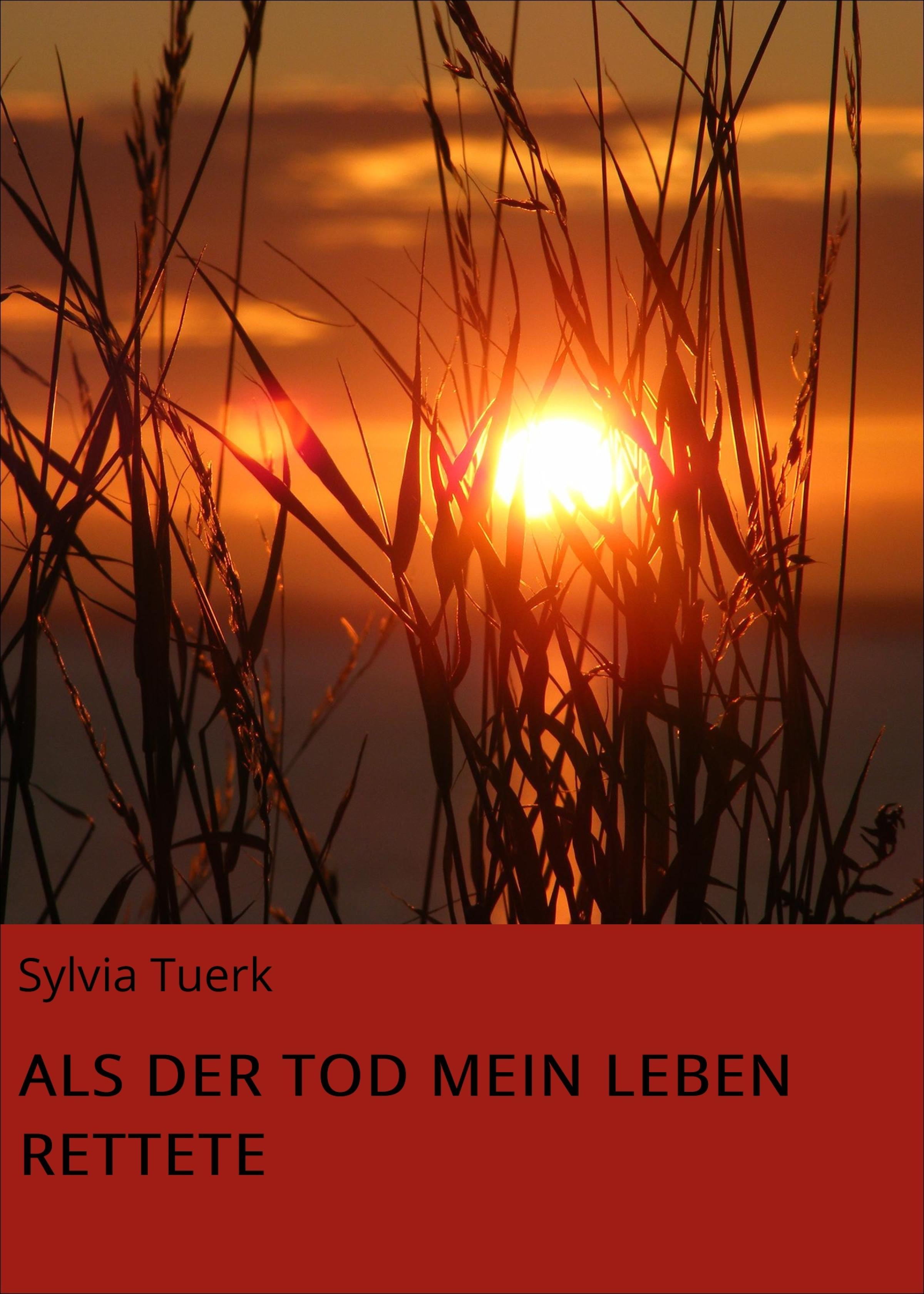 Обложка книги «ALS DER TOD MEIN LEBEN RETTETE»