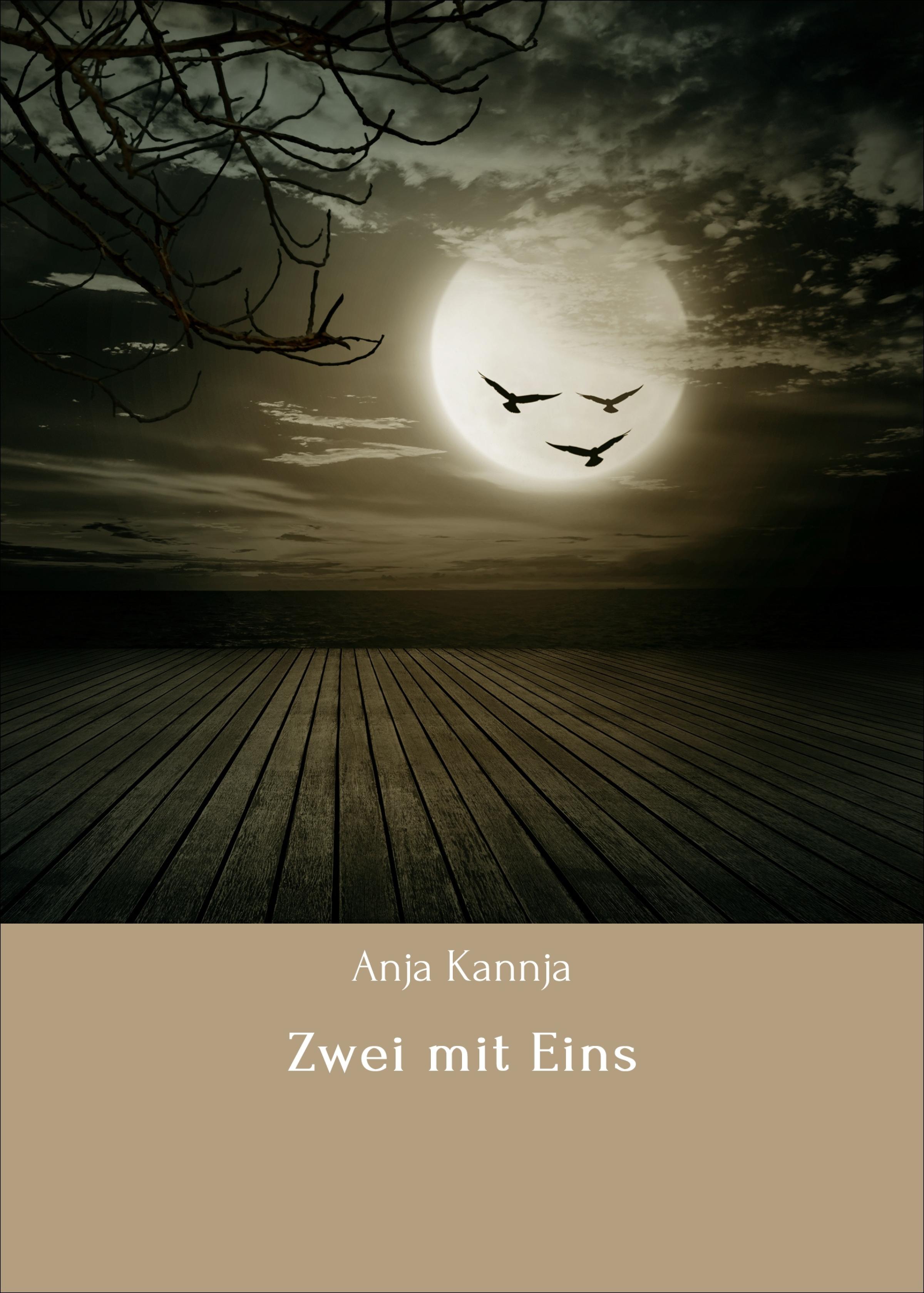 Обложка книги «Zwei mit Eins»