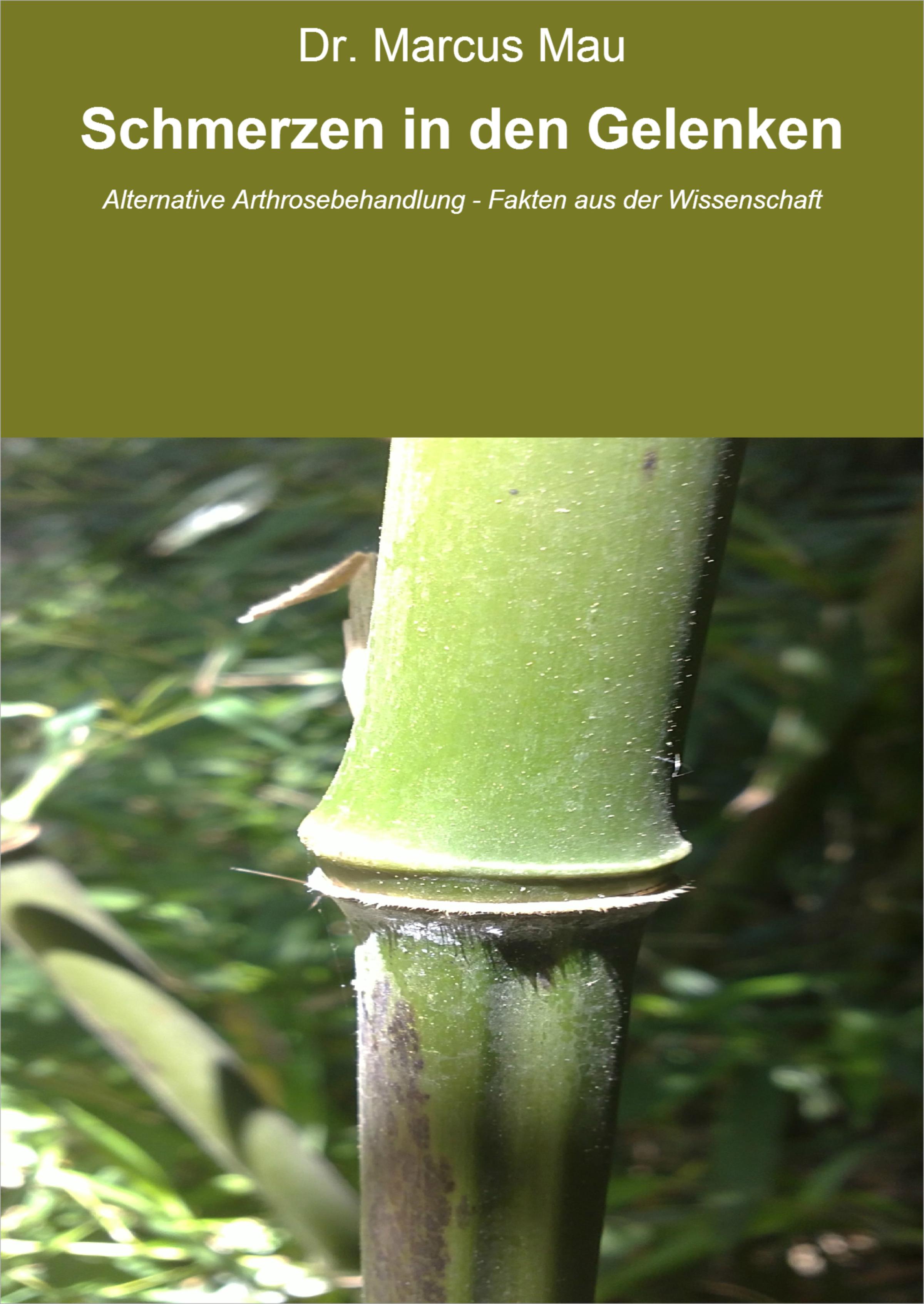 Обложка книги «Schmerzen in den Gelenken»