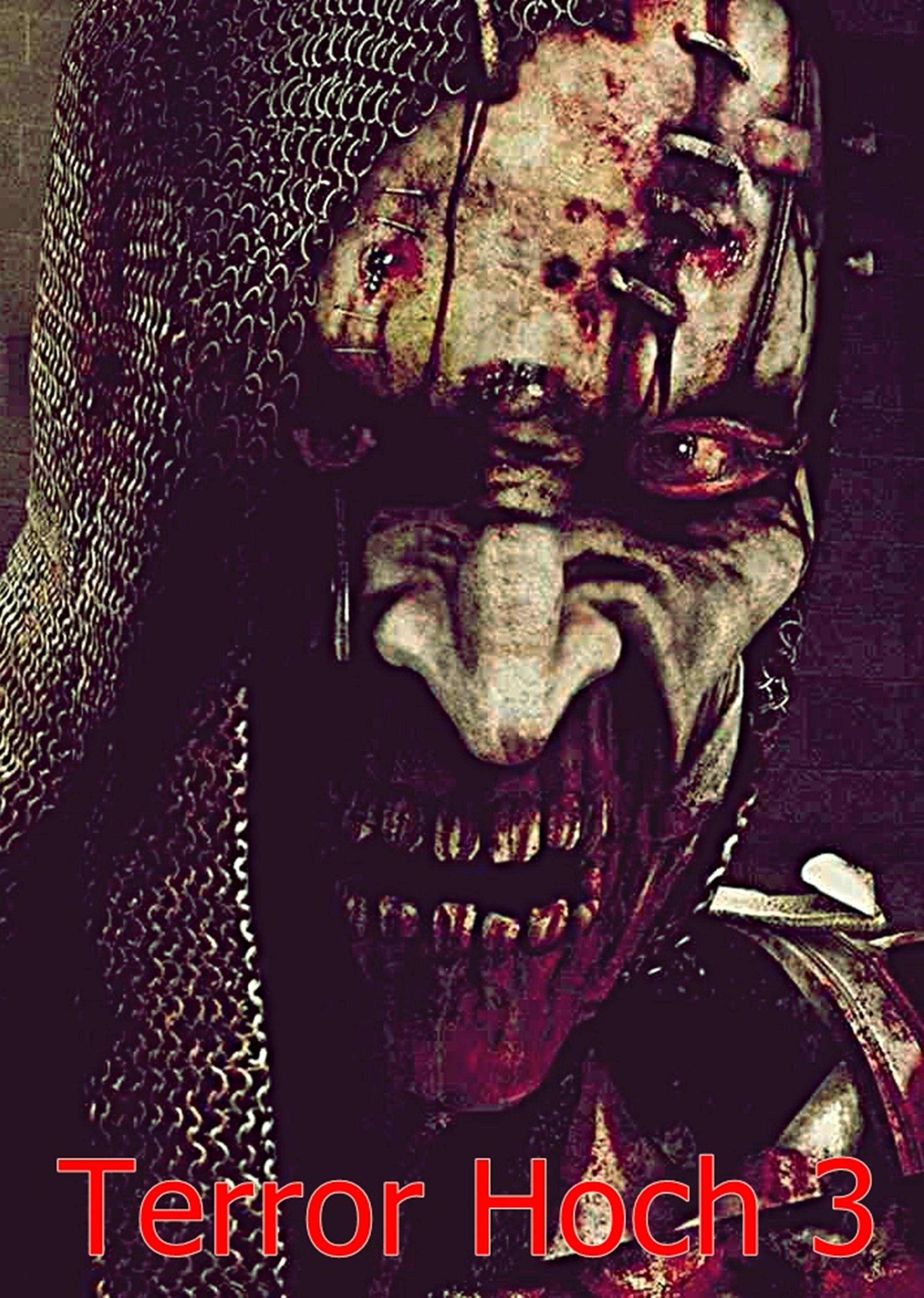 Обложка книги «Terror Hoch 3»