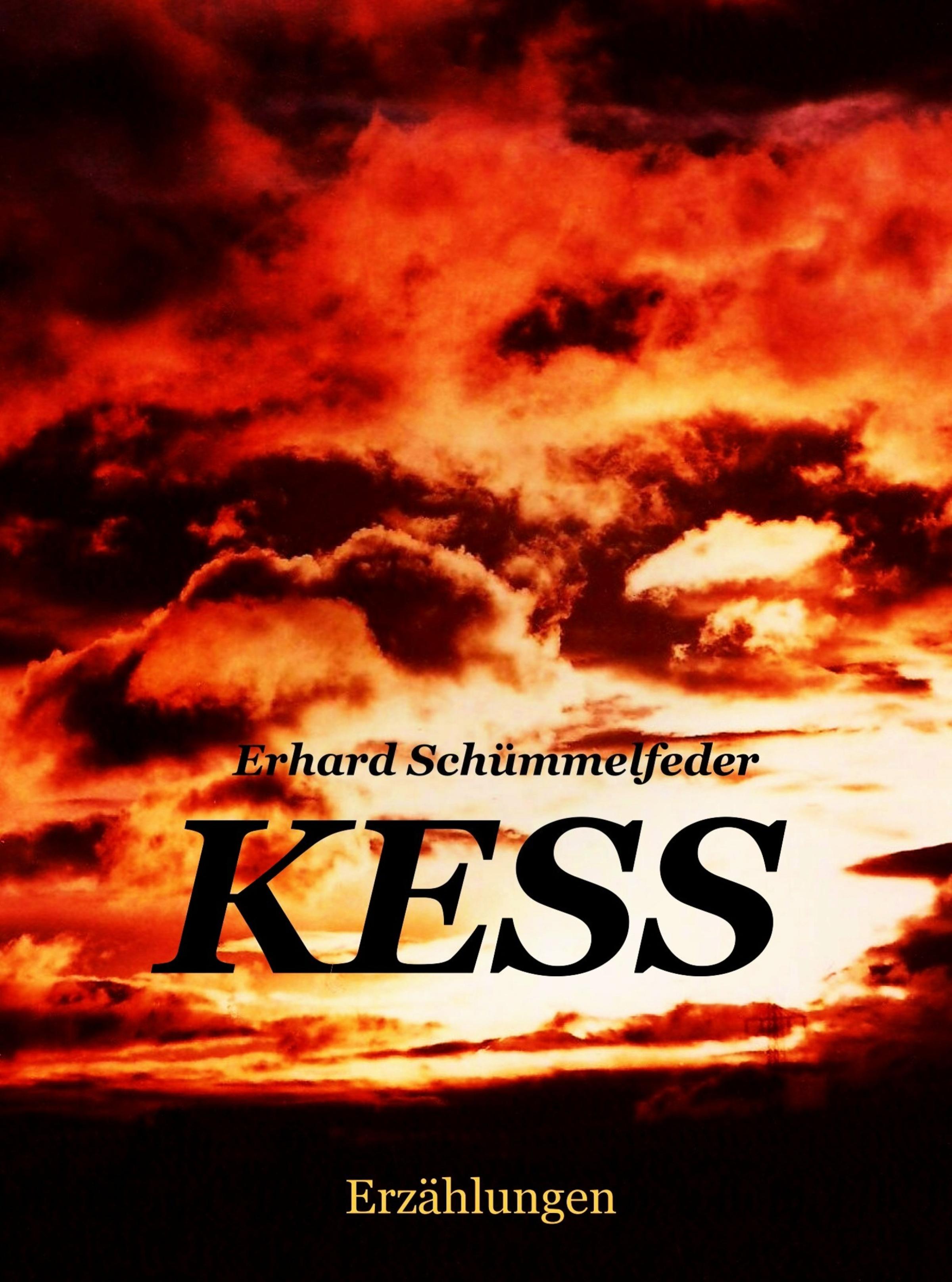 Обложка книги «K E S S»