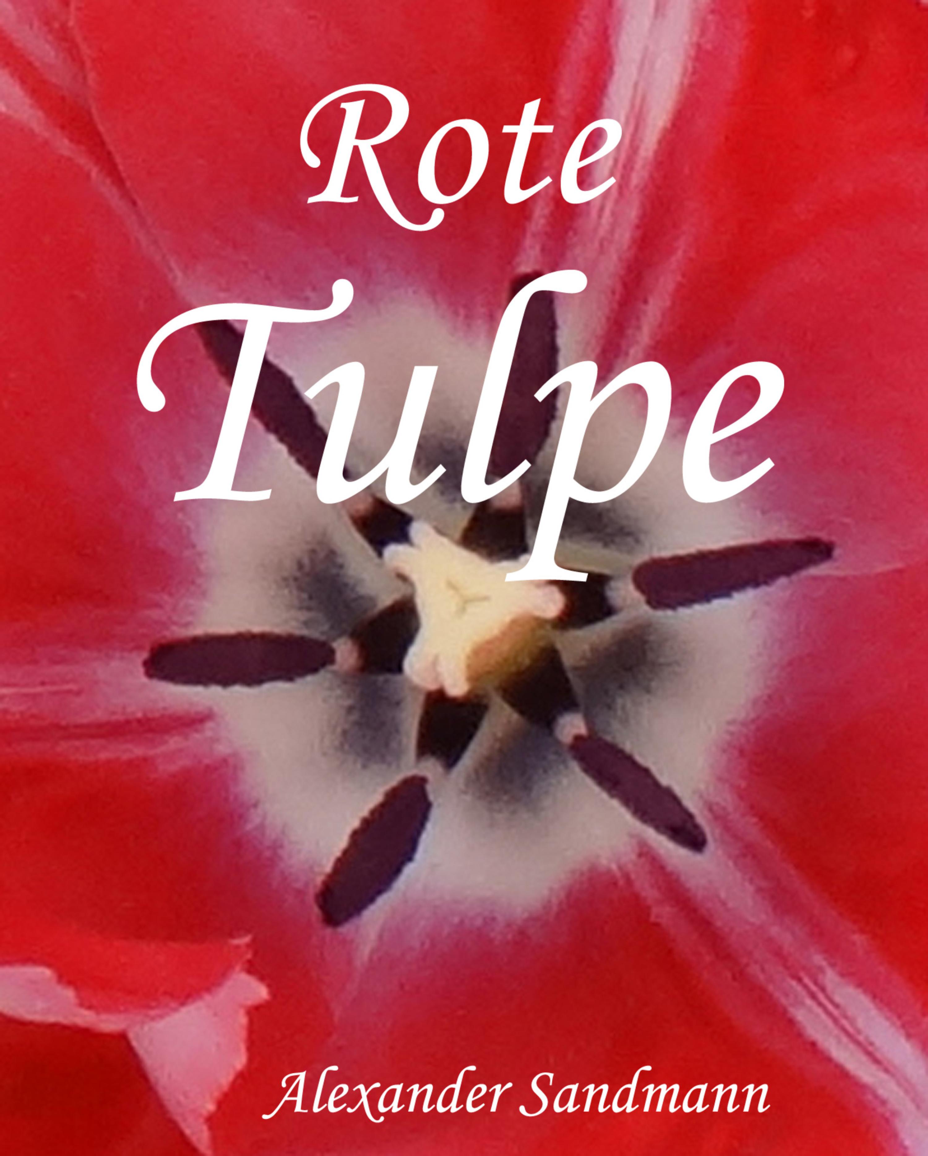 Обложка книги «Rote Tulpe»