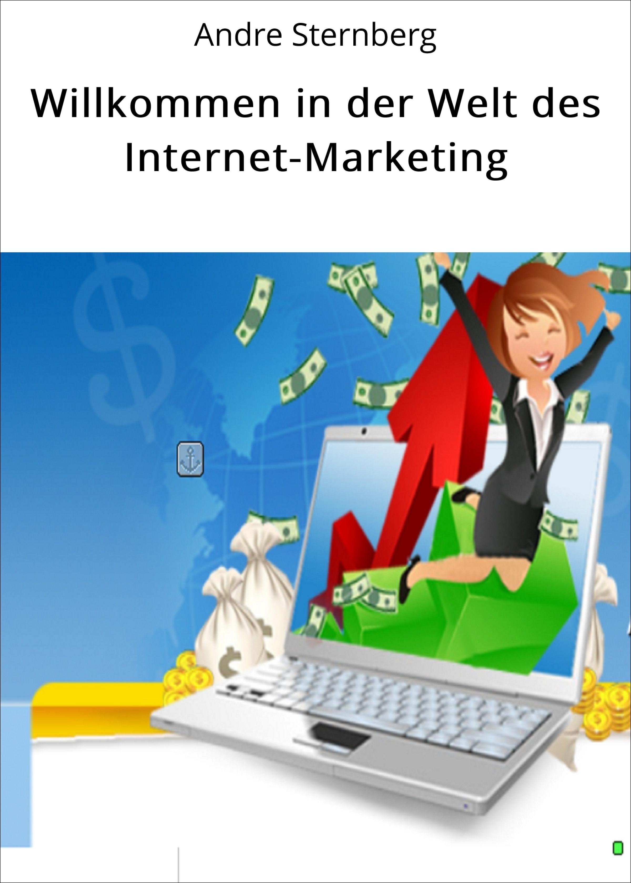 Обложка книги «Willkommen in der Welt des Internet-Marketing»