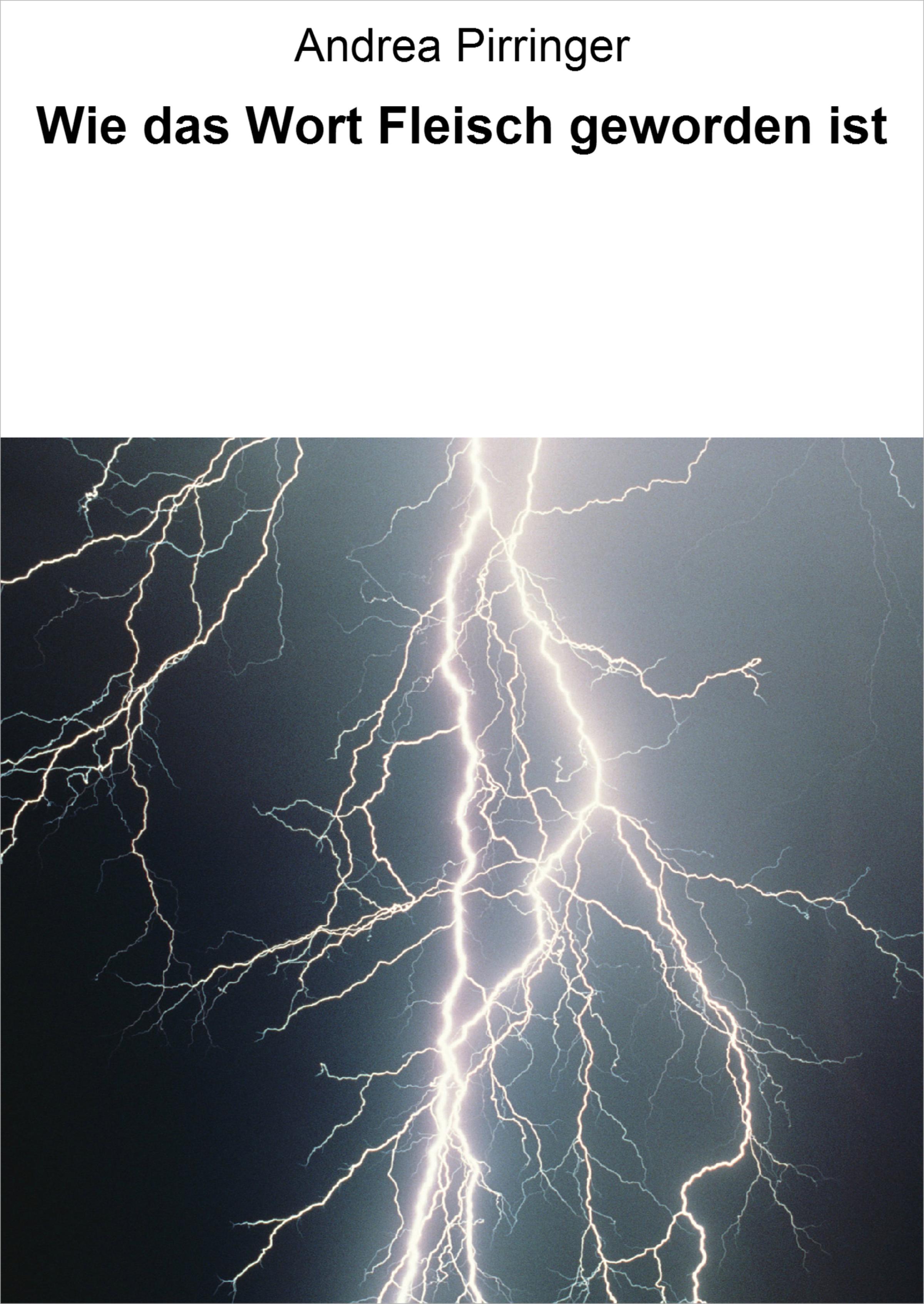 Обложка книги «Wie das Wort Fleisch geworden ist»